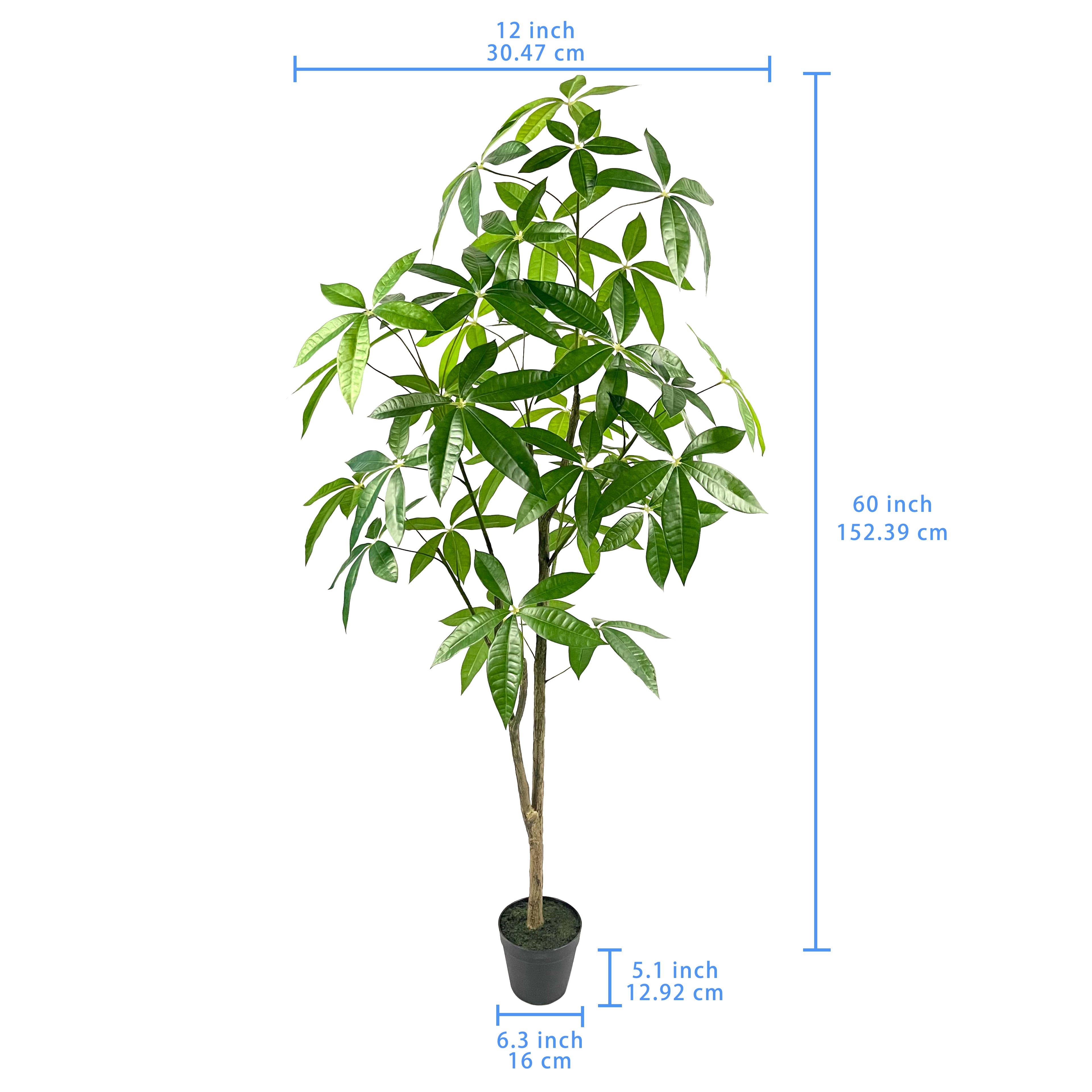 5ft. Potted Green Money Plant Tree by Ashland®