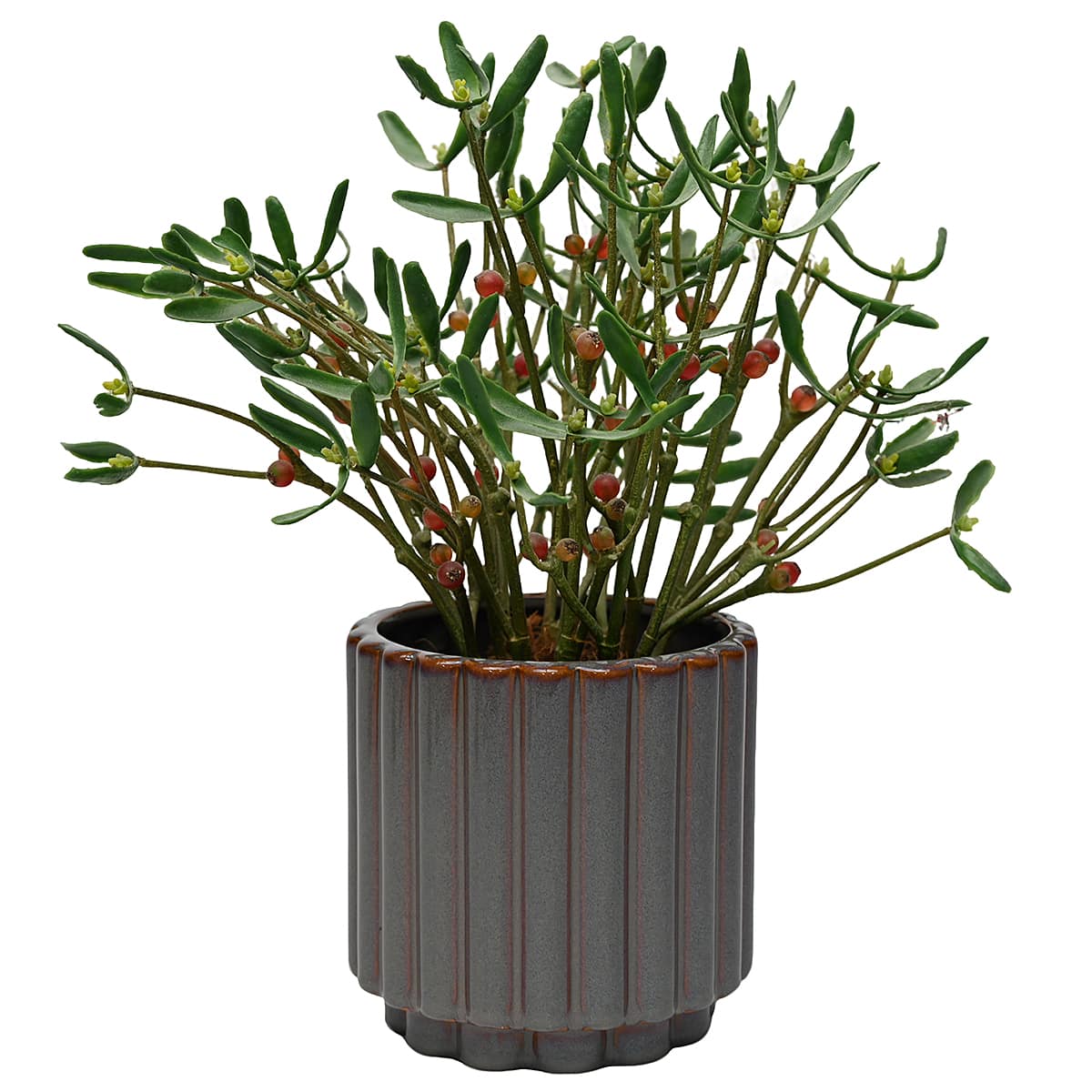 5.75" Brown Ceramic Pot by Ashland®