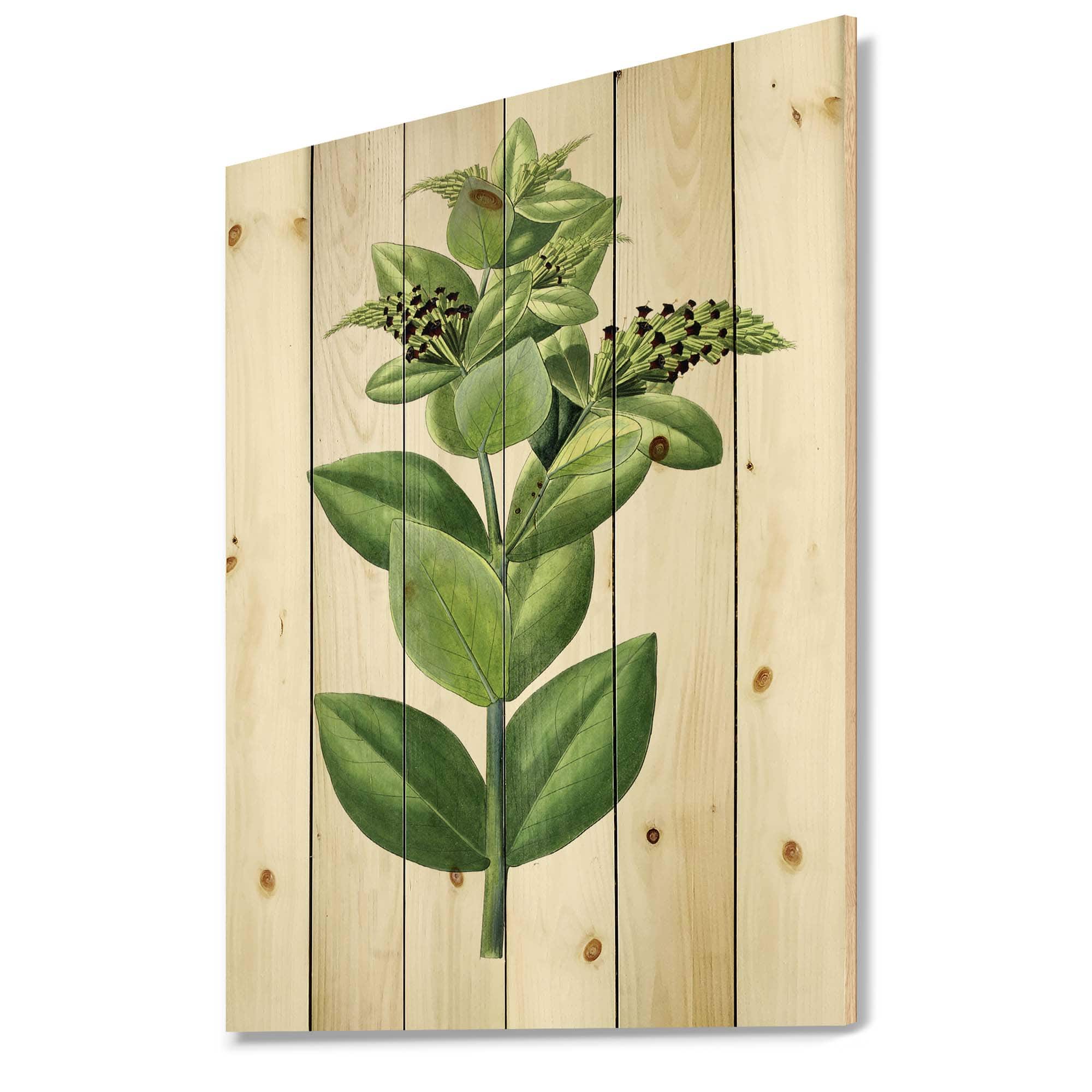 Designart - Vintage Green Leaves Plants VI - Traditional Print on Natural Pine Wood