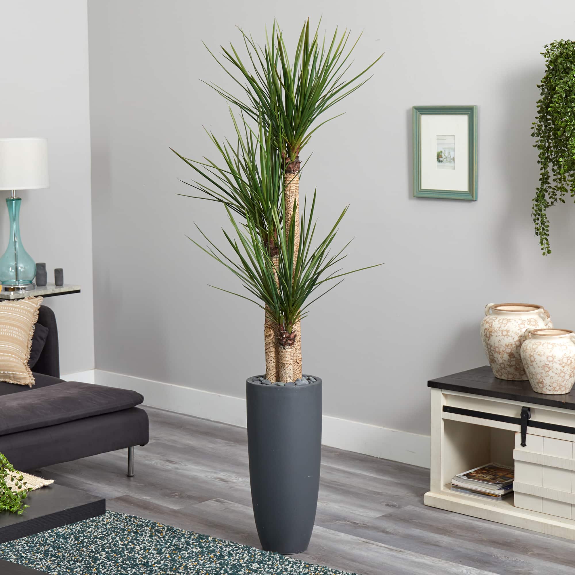 6ft. Yucca Tree in Black Planter
