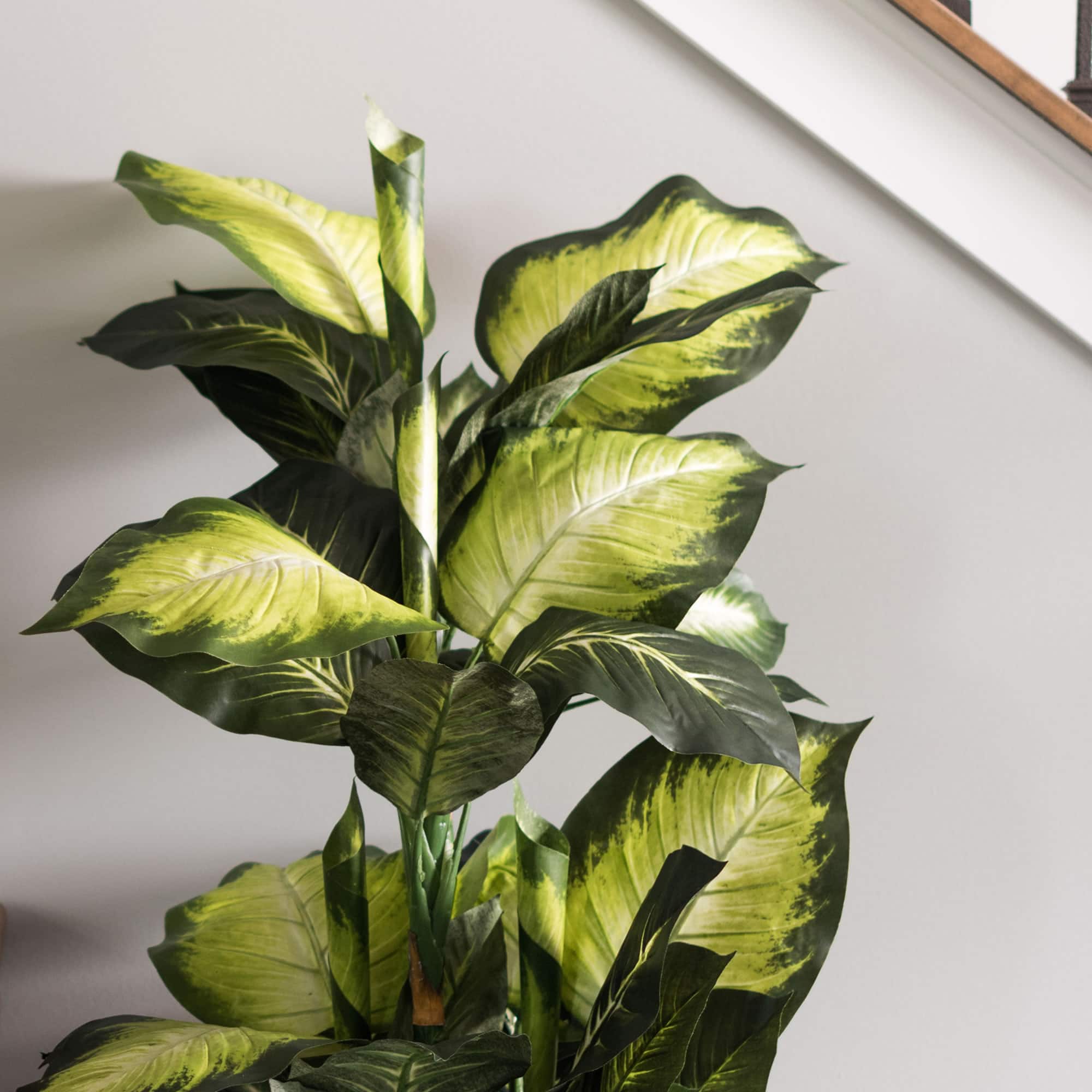 3.3ft. Potted Artificial Green & White Dumb Cane Tree
