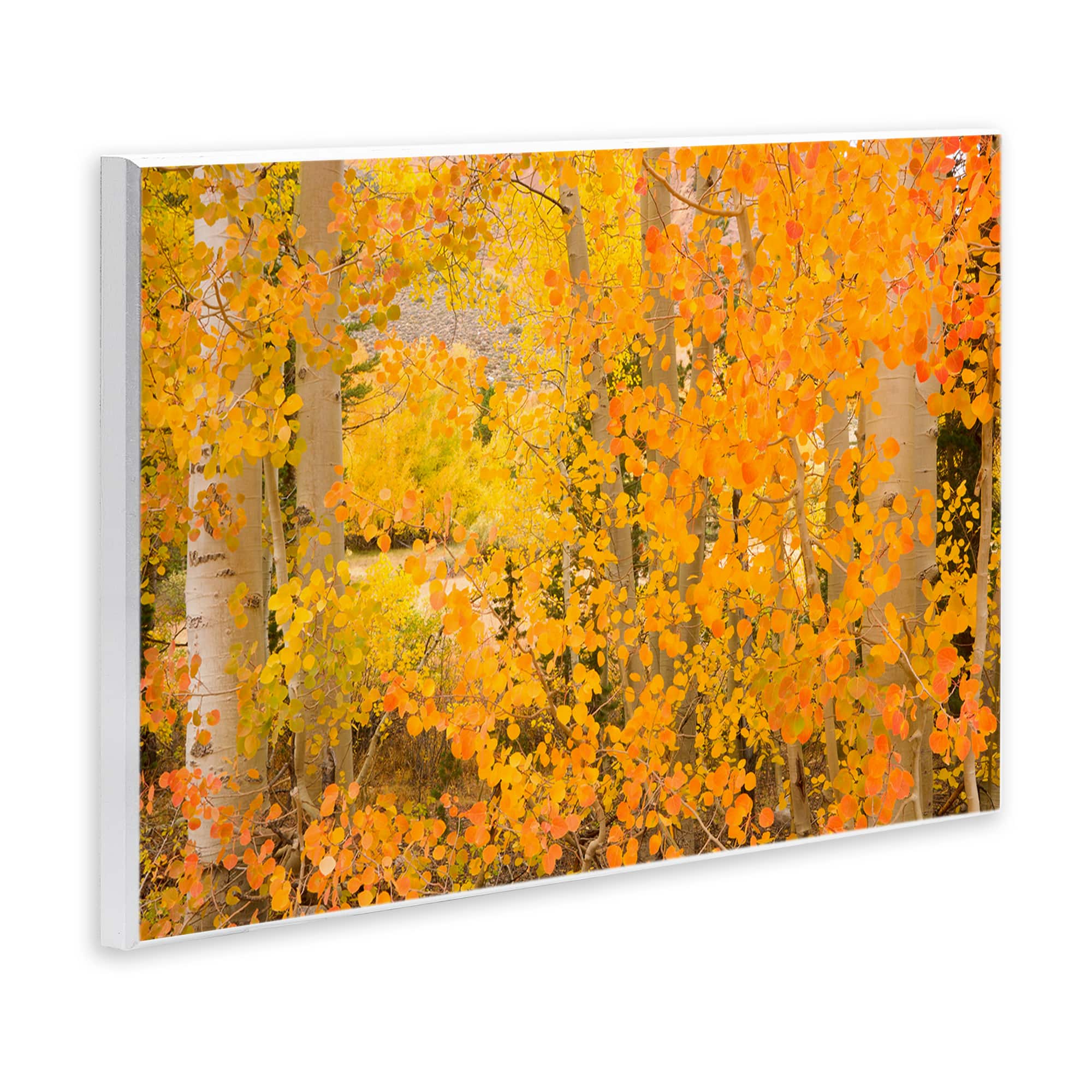 Stupell Industries Dense Birch Foliage Wall Plaque Art
