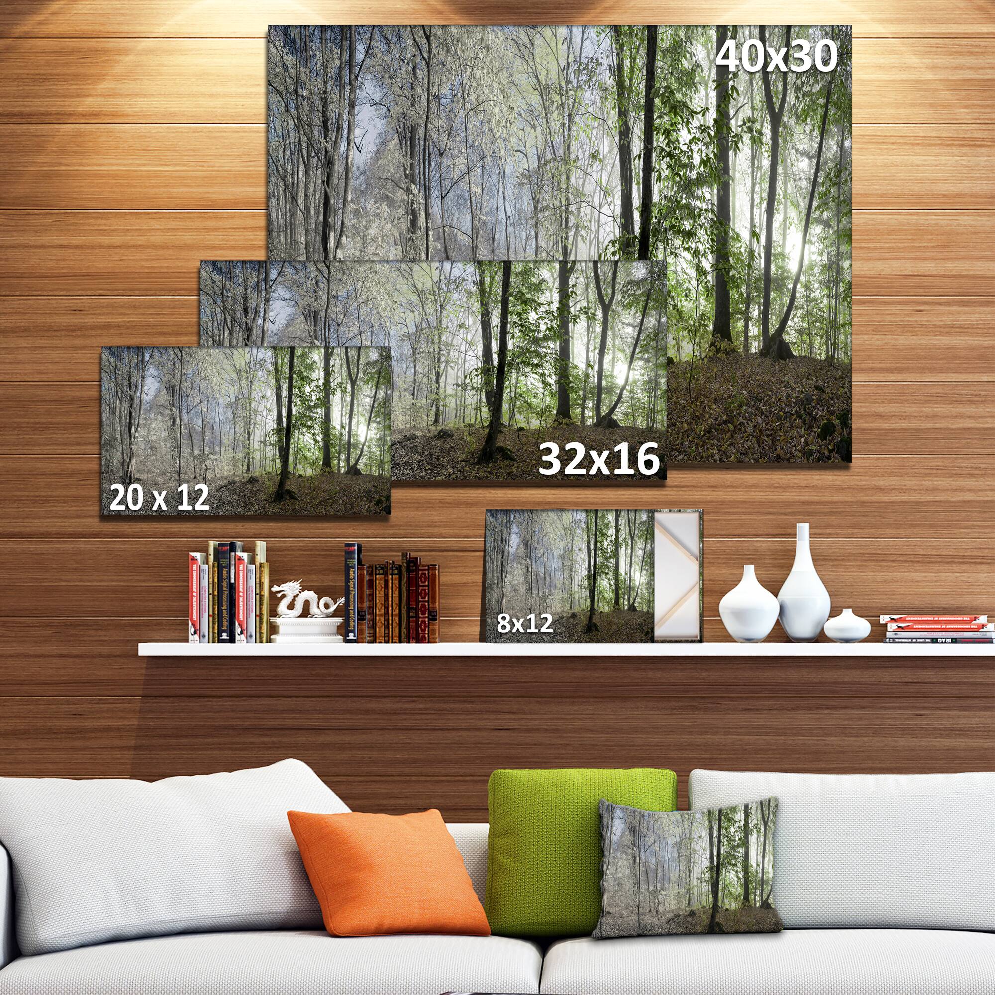Designart - Morning in Forest Panorama