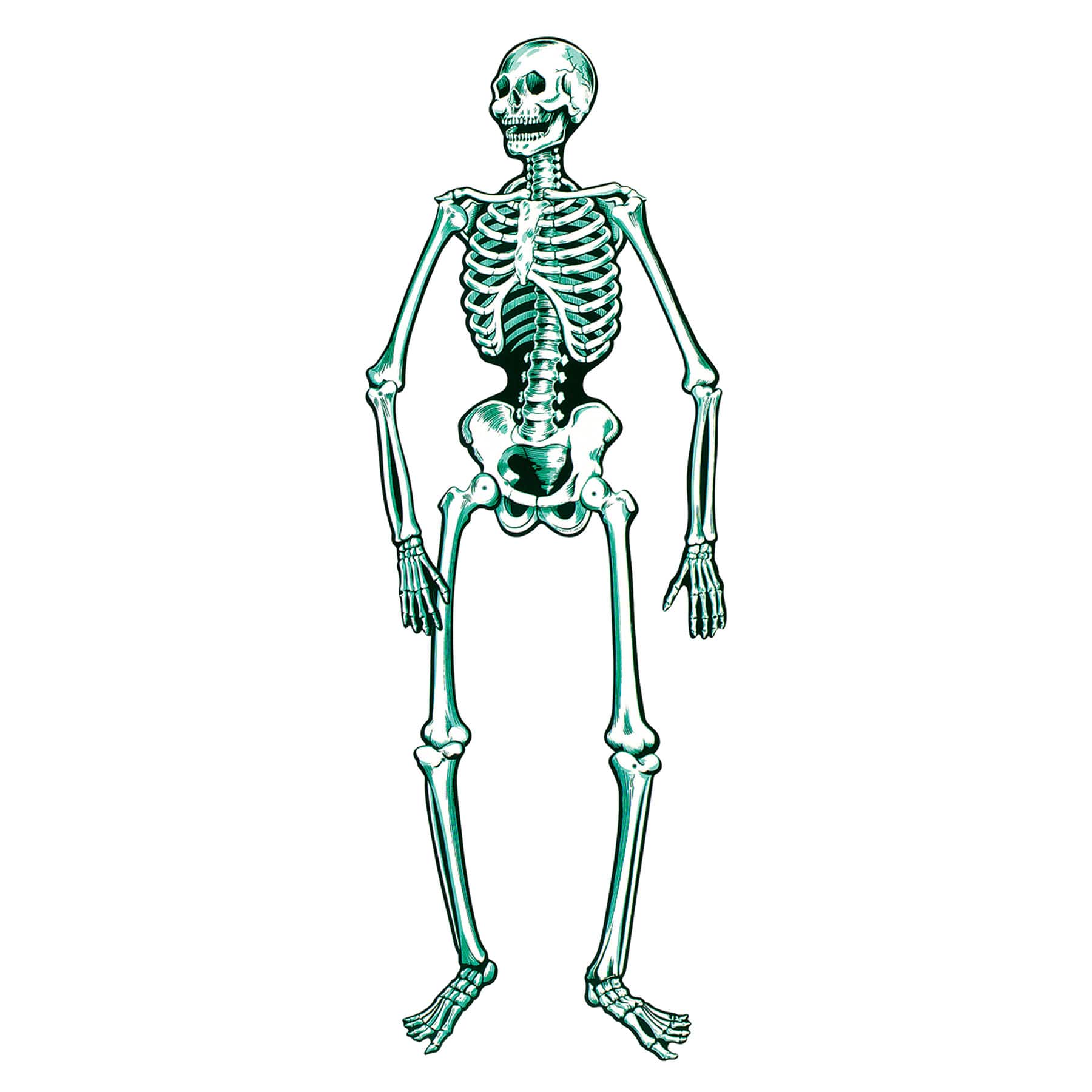 Beistle 4.5Ft Vintage Halloween Jointed Skeletons, 2ct. | 4.5 ft | Michaels®