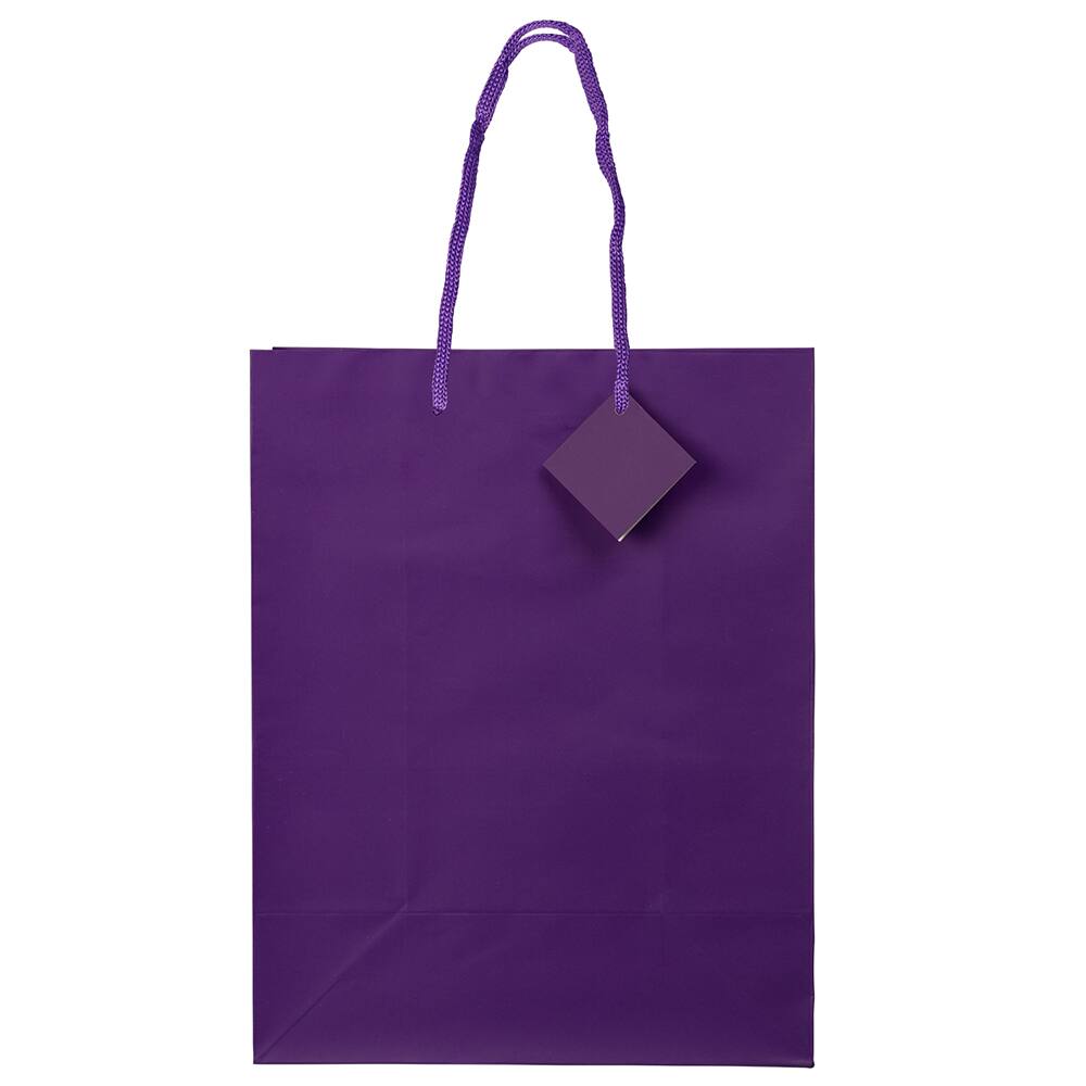 JAM Paper Large Matte Gift Bags