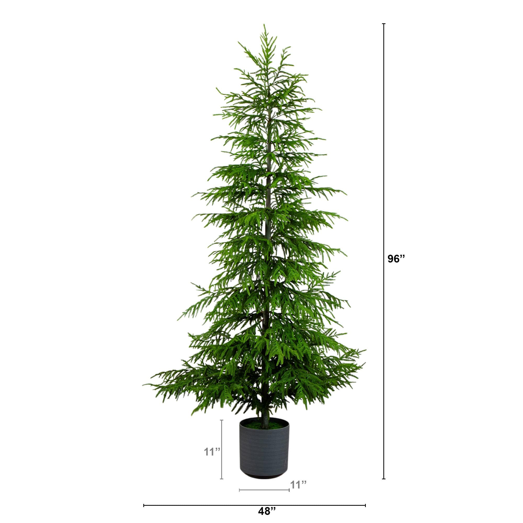 8ft. Unlit Norfolk Island Pine Real Touch Artificial Christmas Tree