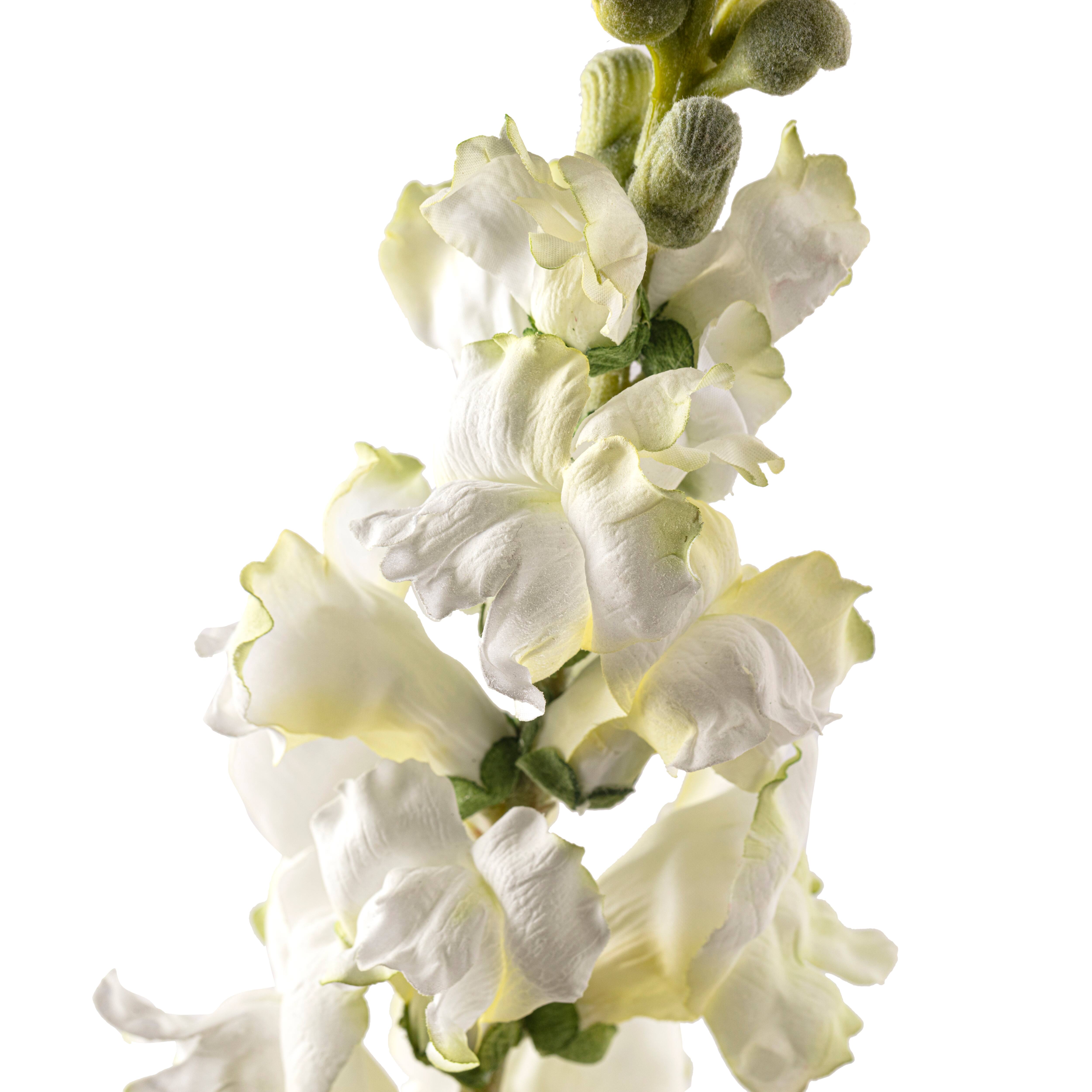 Cream Snapdragon Spray by Ashland®