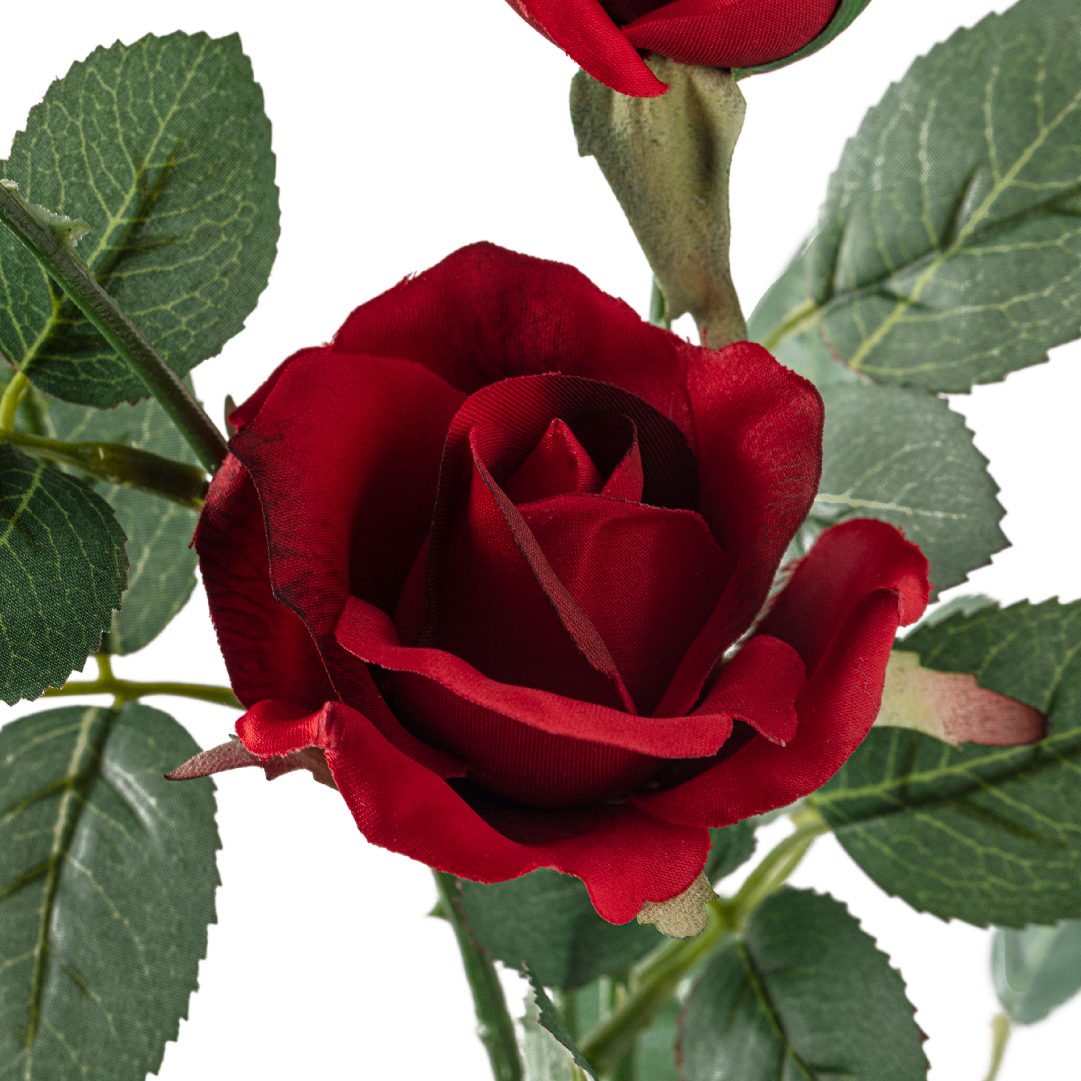 Sweetheart Rose Spray by Ashland
