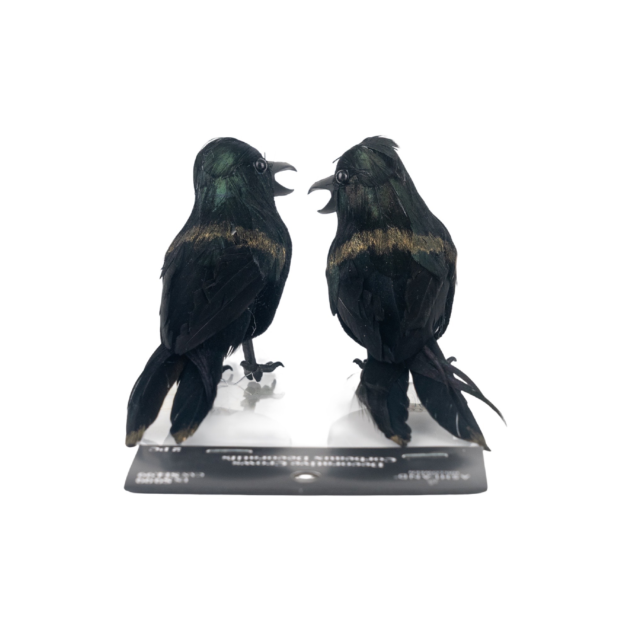 Iridescent Black Crows, 2ct. by Ashland®