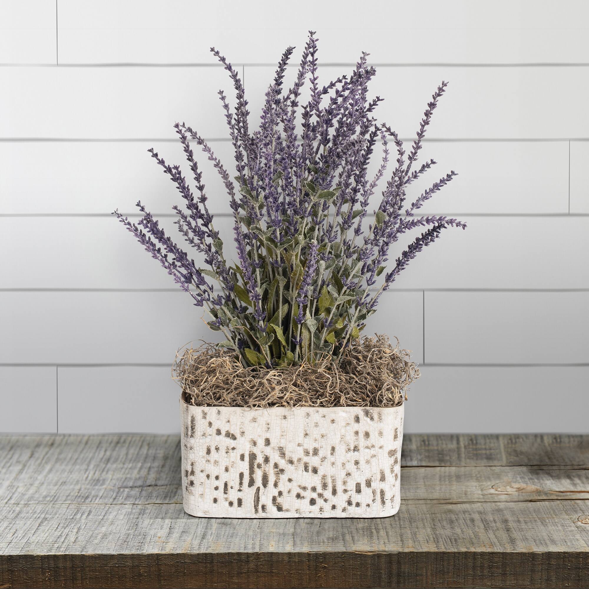 FloraCraft® 4oz. Natural Spanish Moss