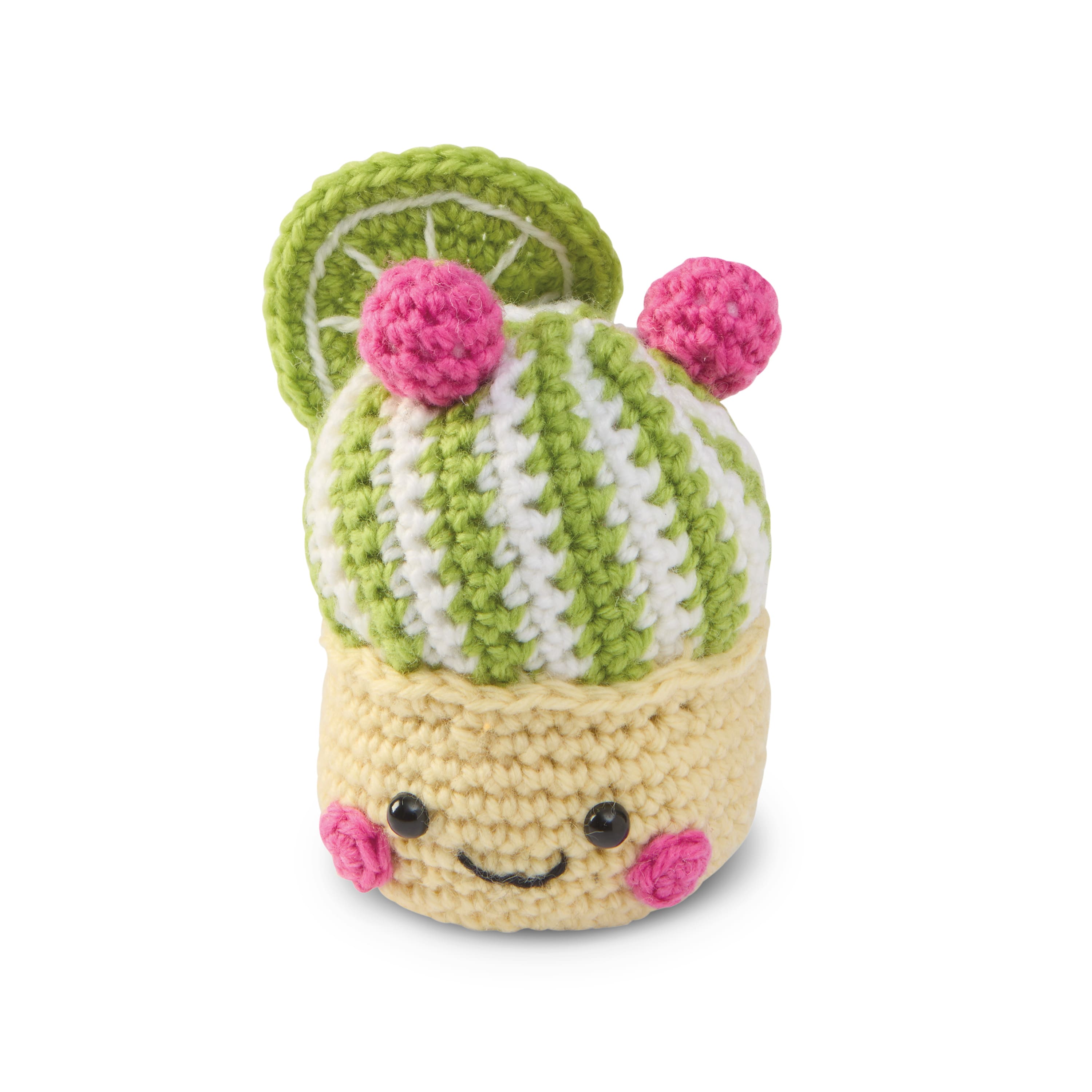 Summer Ice Cream with Rasperries Crochet Kit by Loops & Threads®