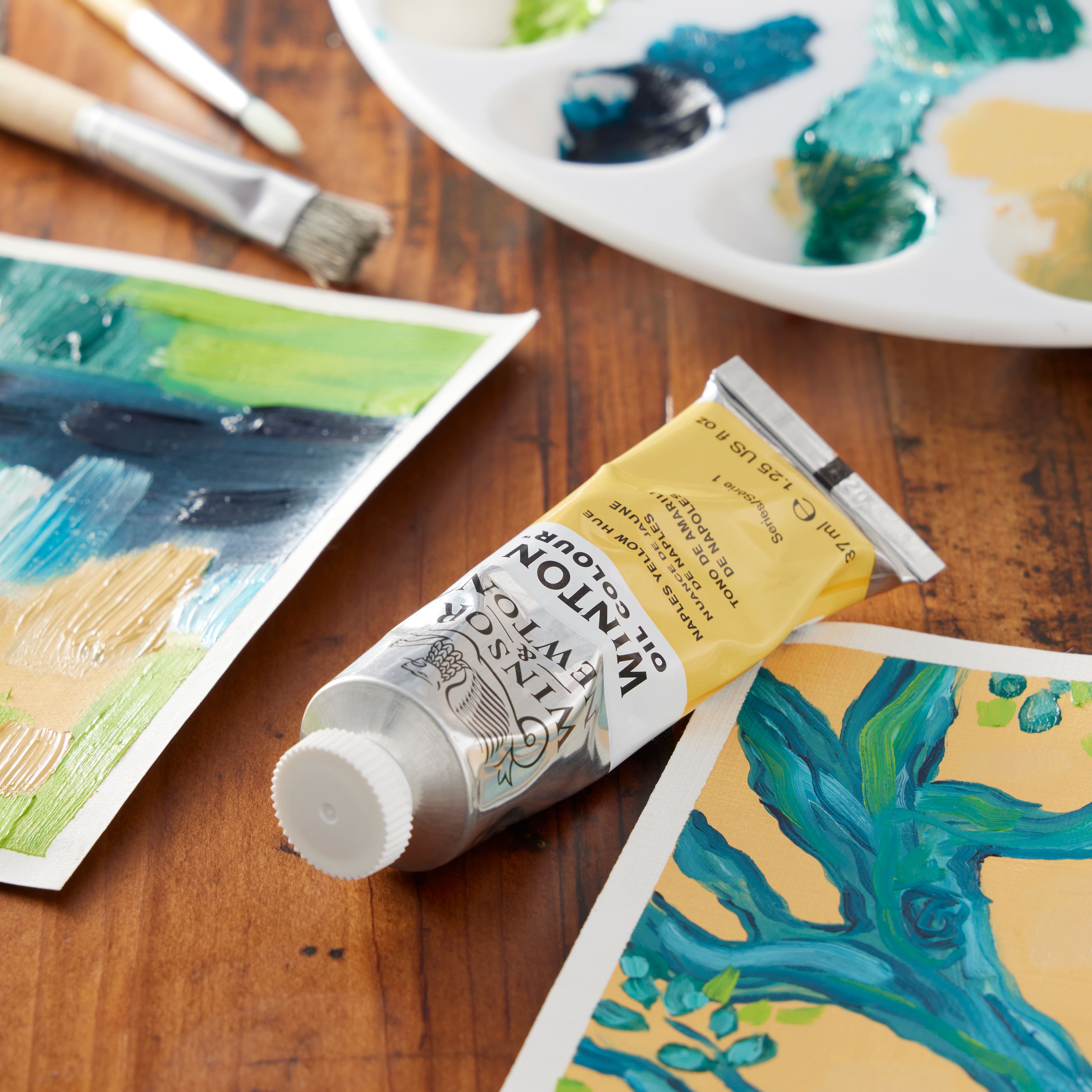 12 Pack: Winsor & Newton™ Winton Oil Colour™ Paint, 37mL