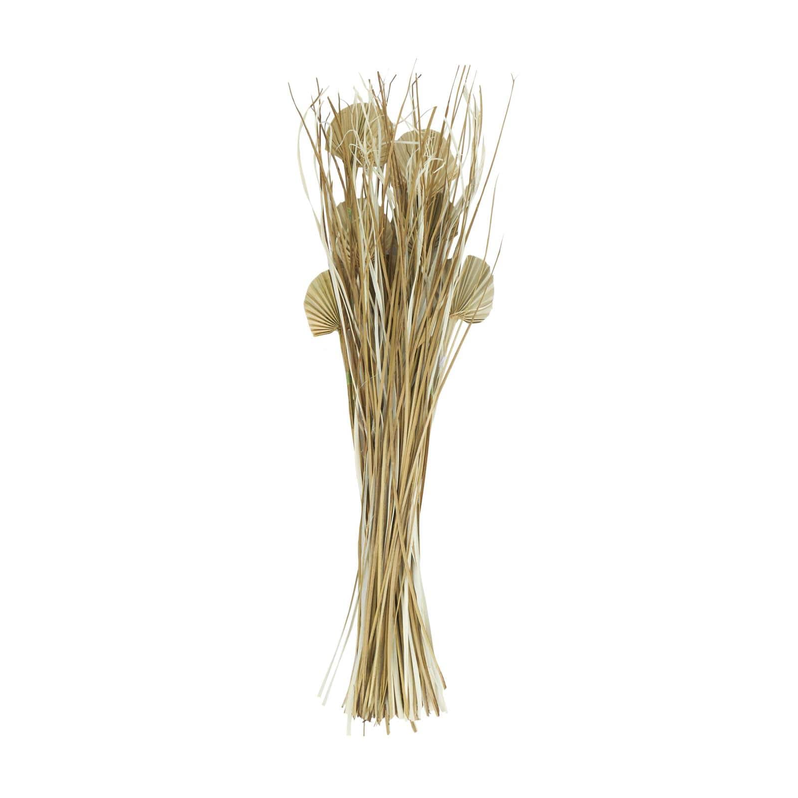 3ft. Brown Dried Plant Palm Leaf Natural Foliage with Grass