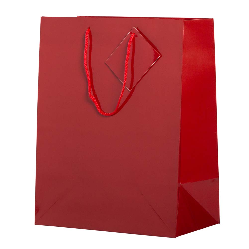 JAM Paper Large Glossy Gift Bags with Rope Handles