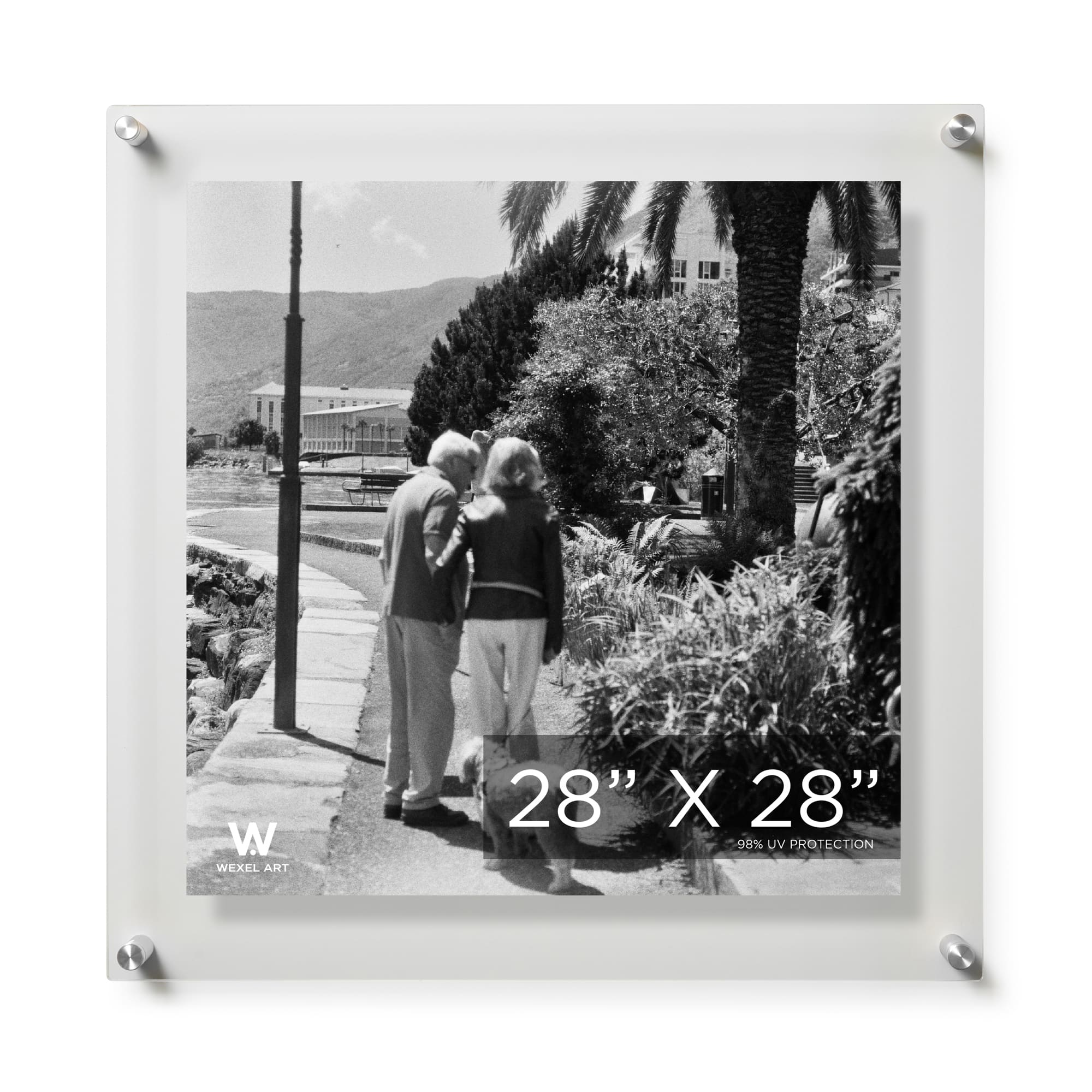Wexel Art Double Panel Clear Acrylic Floating Wall Frame with Silver Hardware