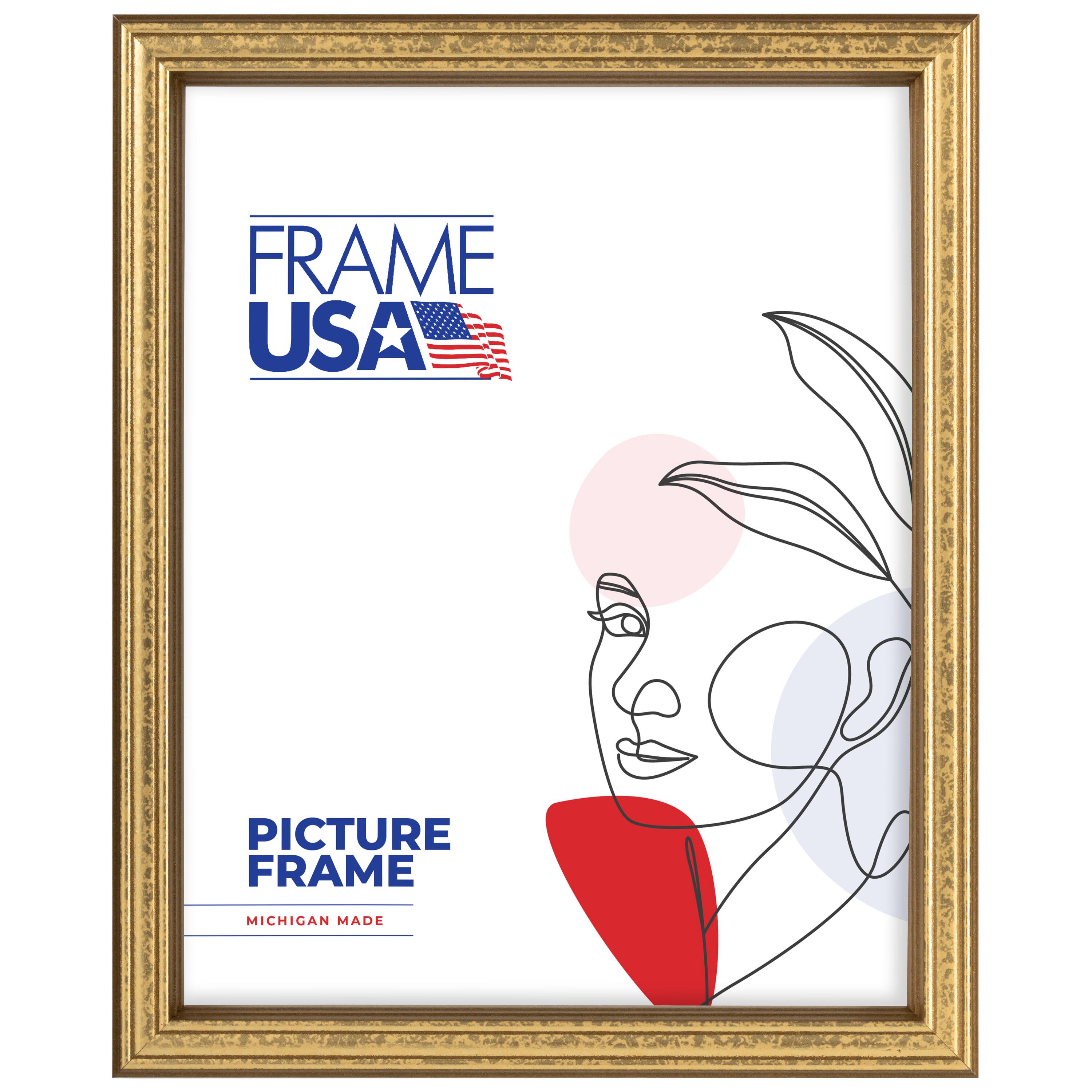 Frame USA Economy Gold Single Image Picture Frame