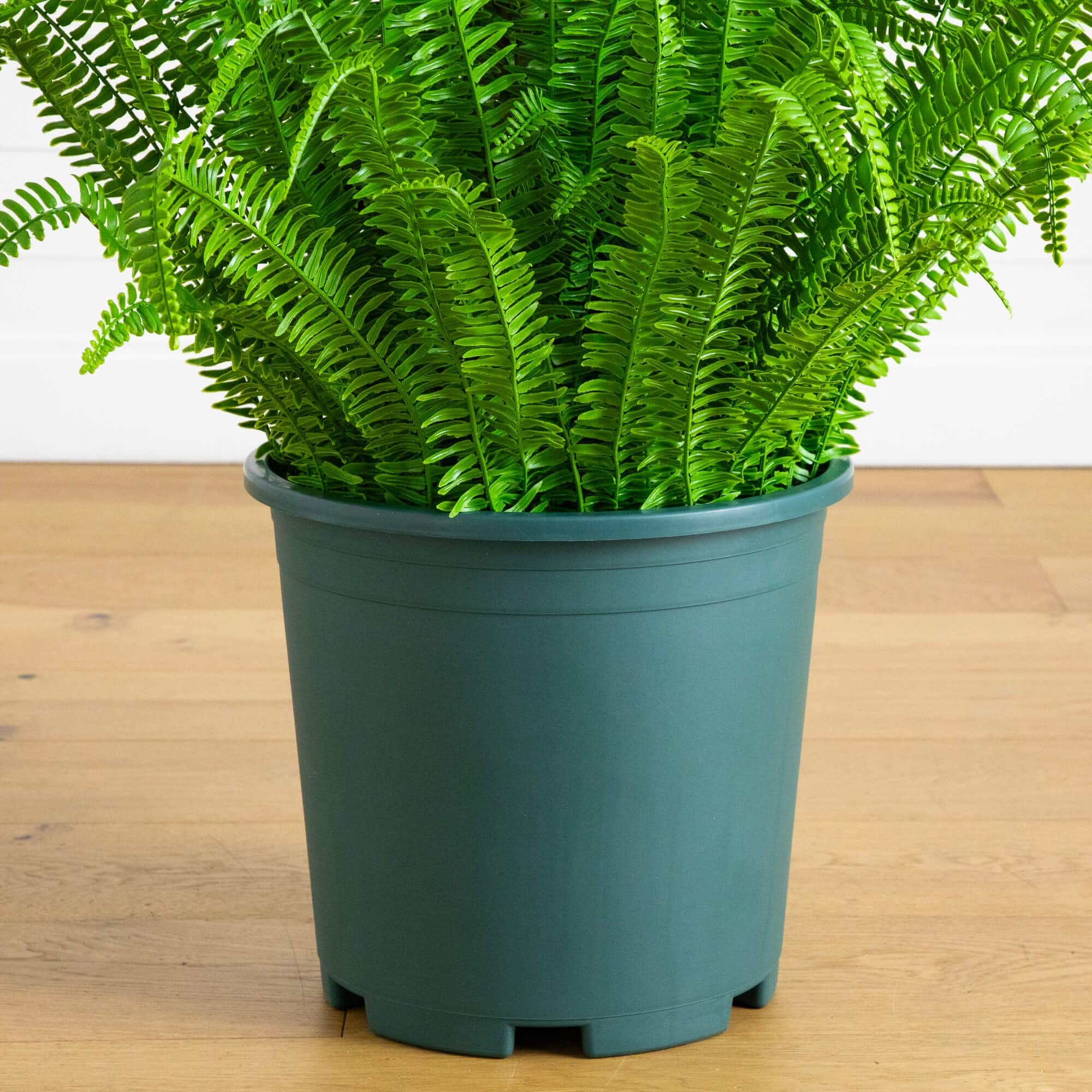 4ft. UV Resistant Artificial Boston Fern Plant with Real Touch Leaves (Indoor/Outdoor)