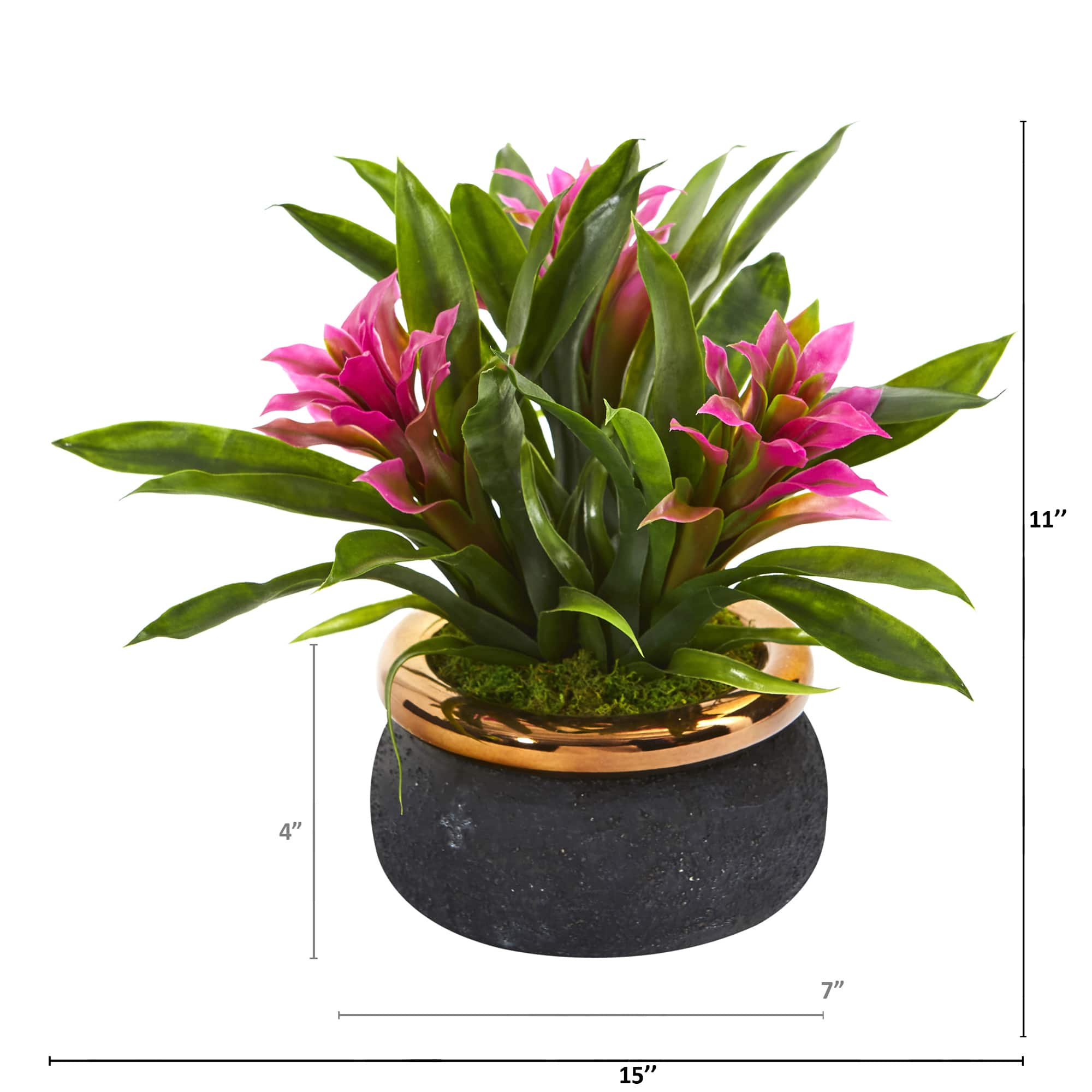 11" Bromeliad Plant in Stoneware Planter