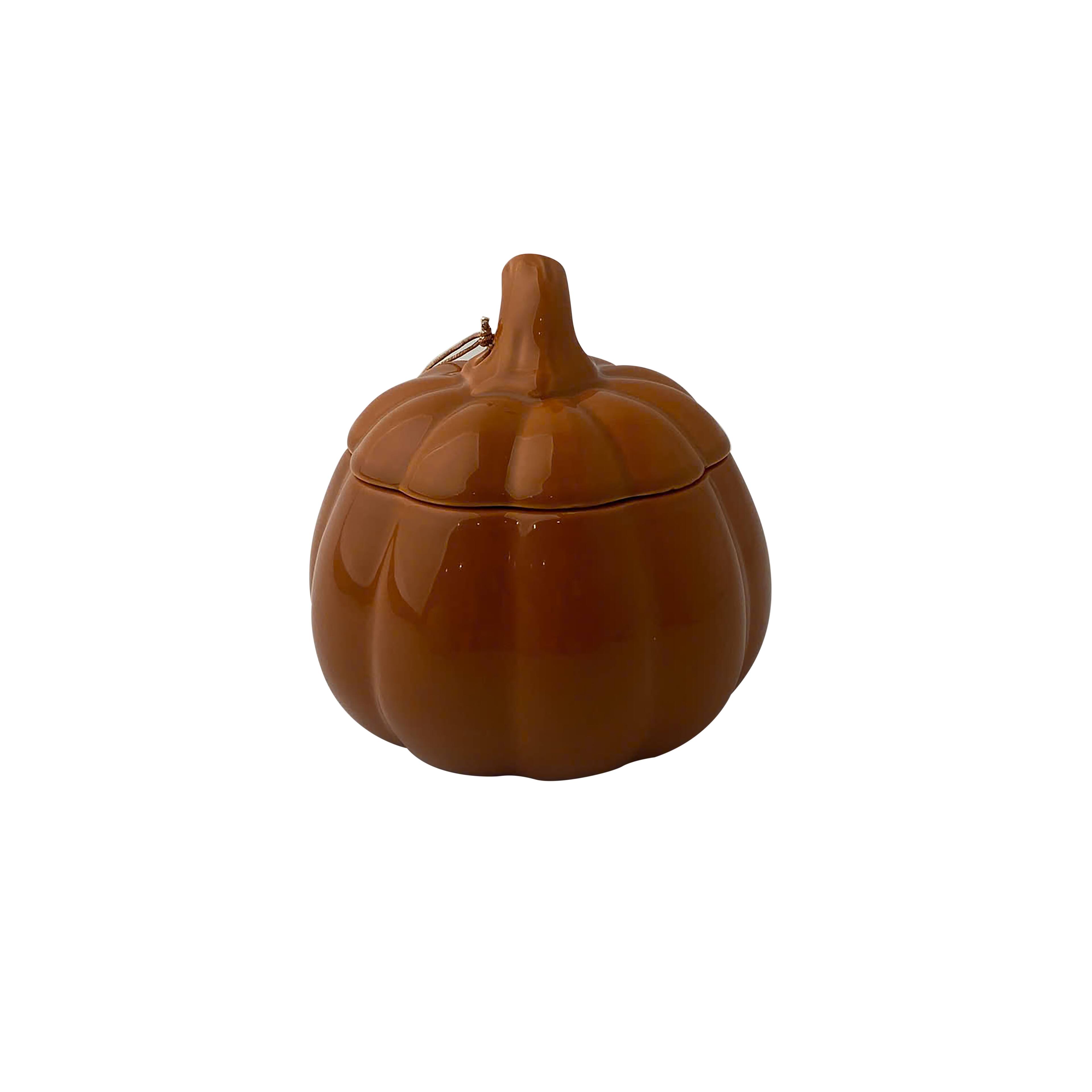 11oz. Pumpkin Hazelnut Scented Ceramic Pumpkin Candle by Ashland®