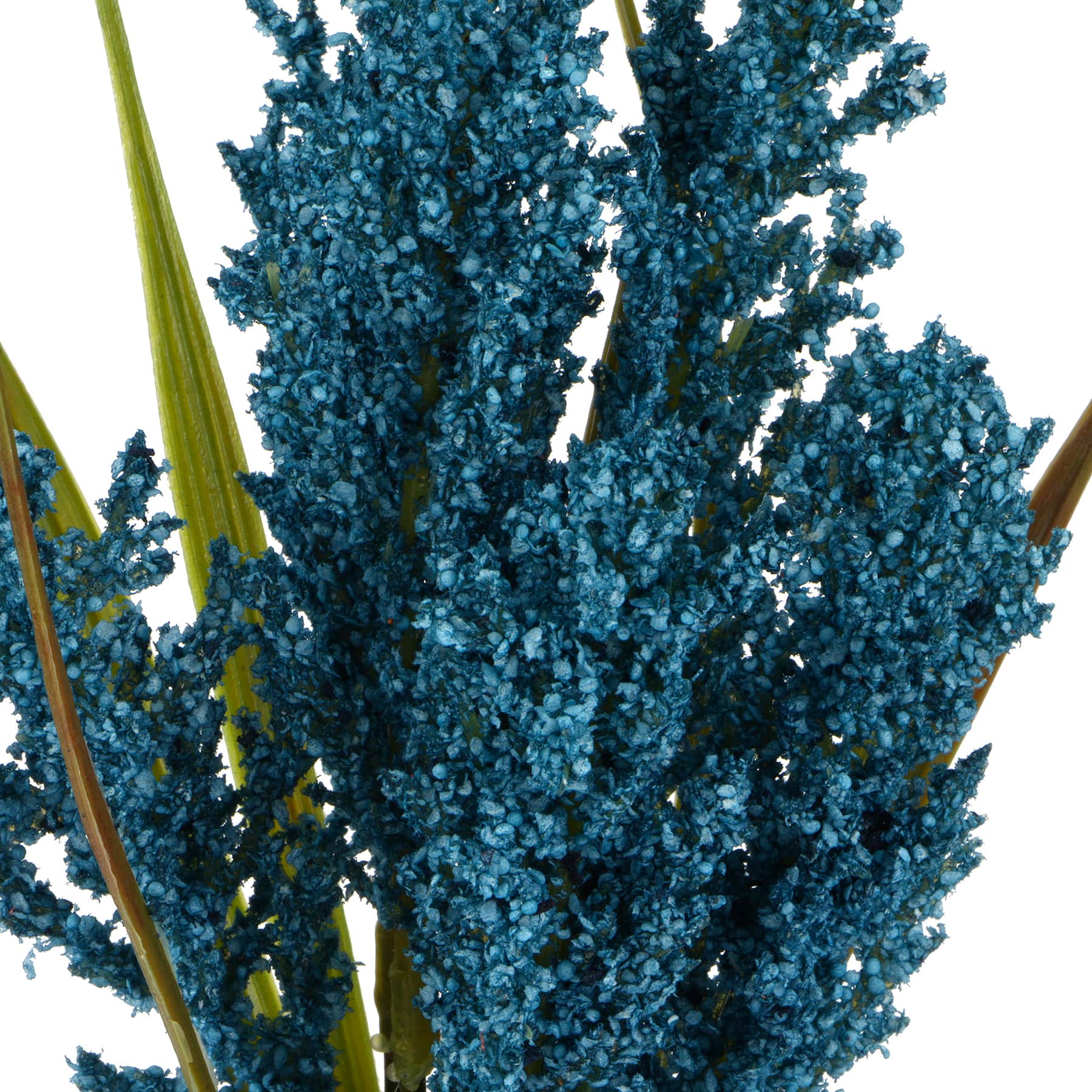 12" Blue Foxtail Mini Bundle by Ashland®