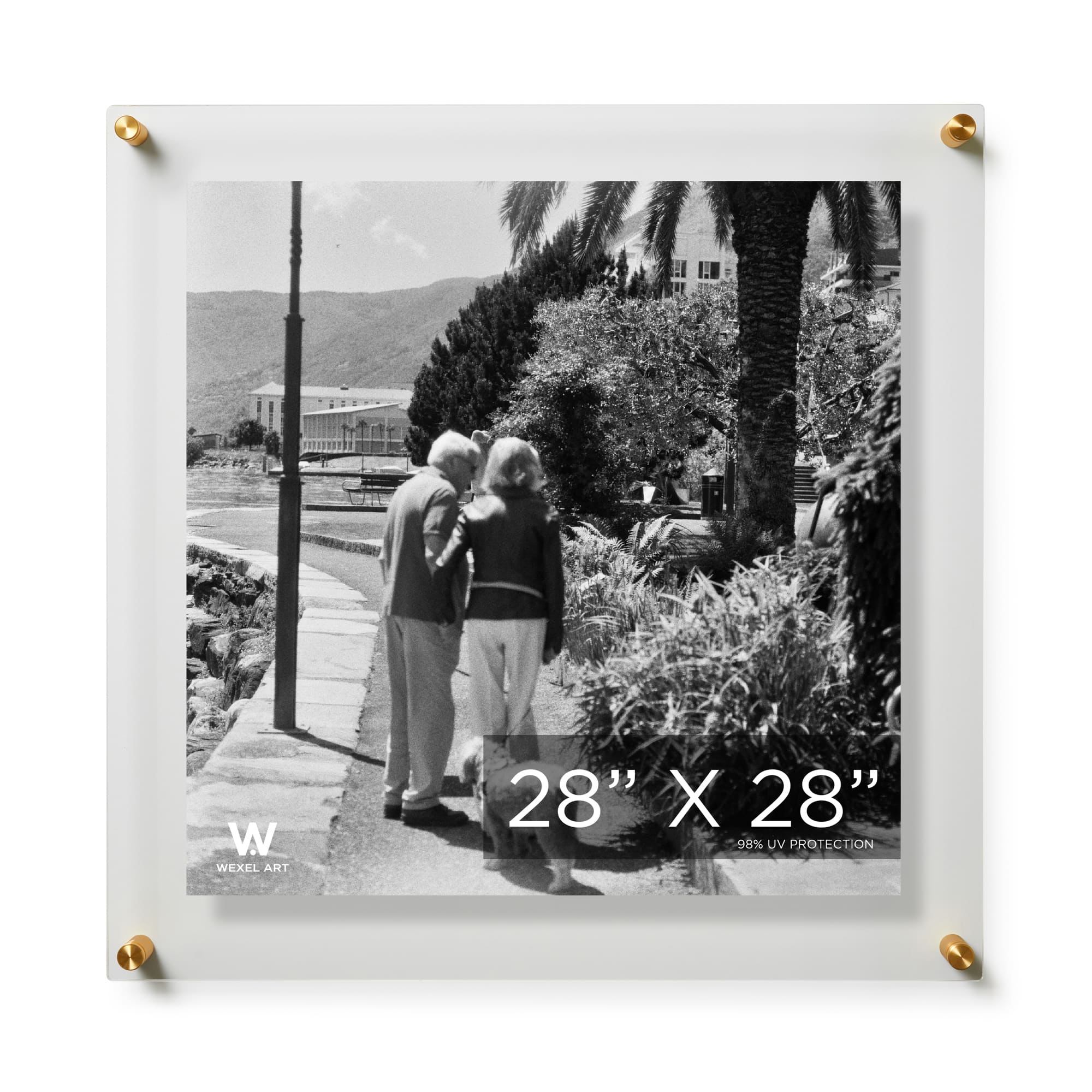 Wexel Art Double Panel Clear Acrylic Floating Wall Frame with Gold Hardware