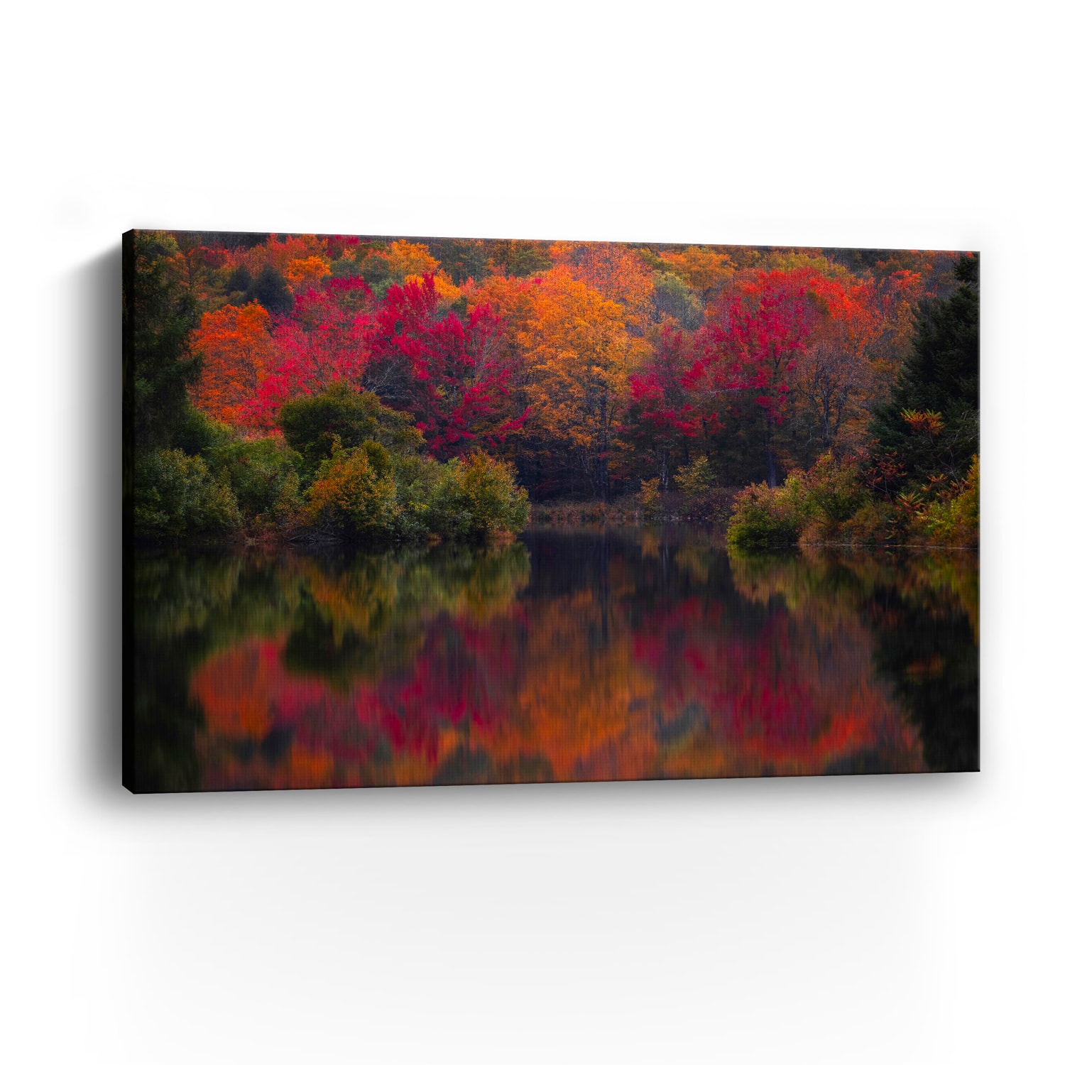 Lumaprints Mirror Mirror Canvas Giclée Art