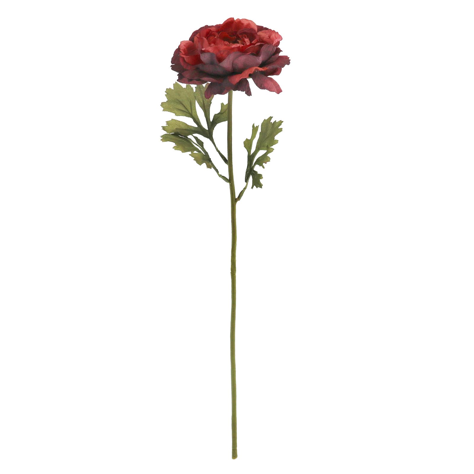 23" Burgundy Ranunculus Stem by Ashland®