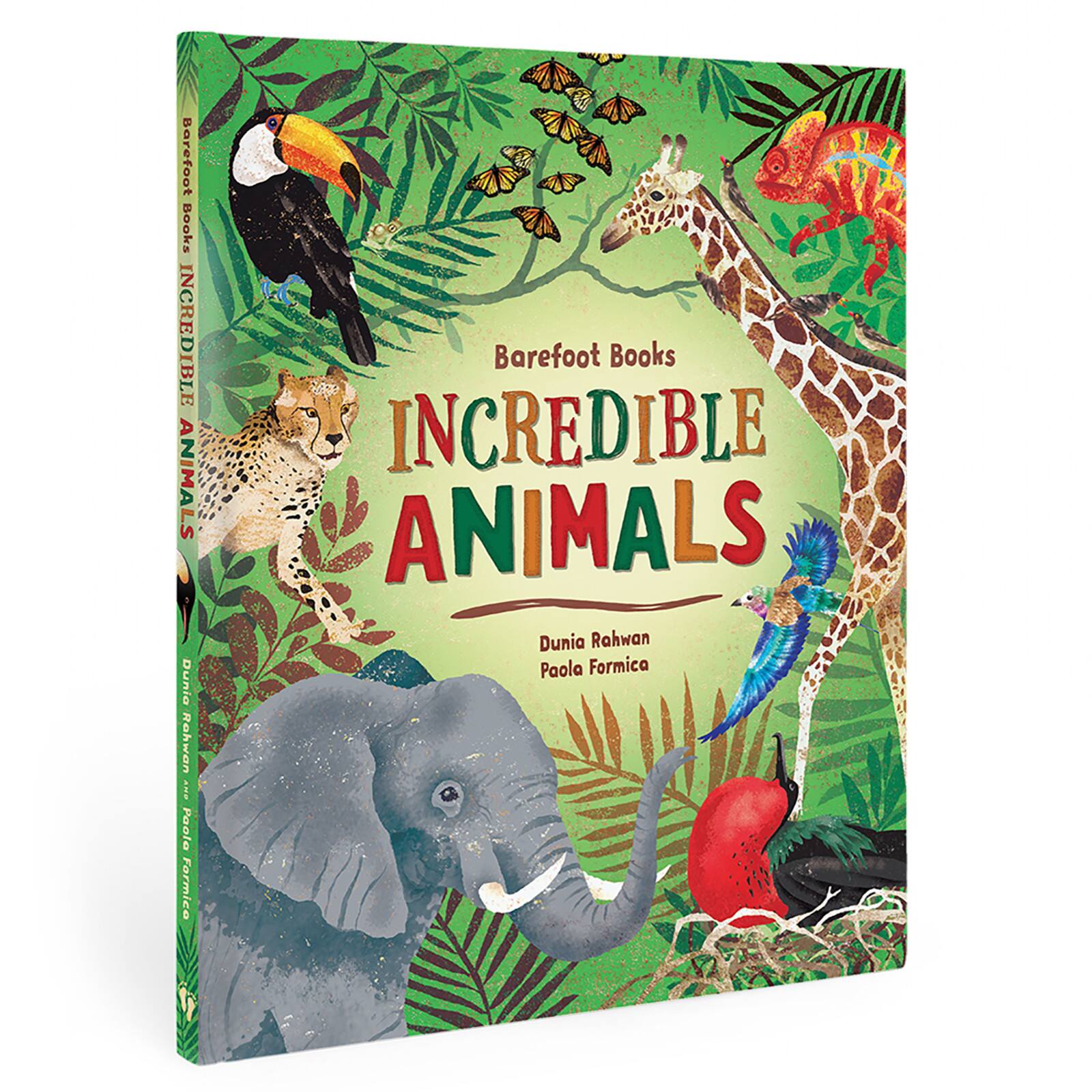 Barefoot Books 3rd Grade STEAM Book Set