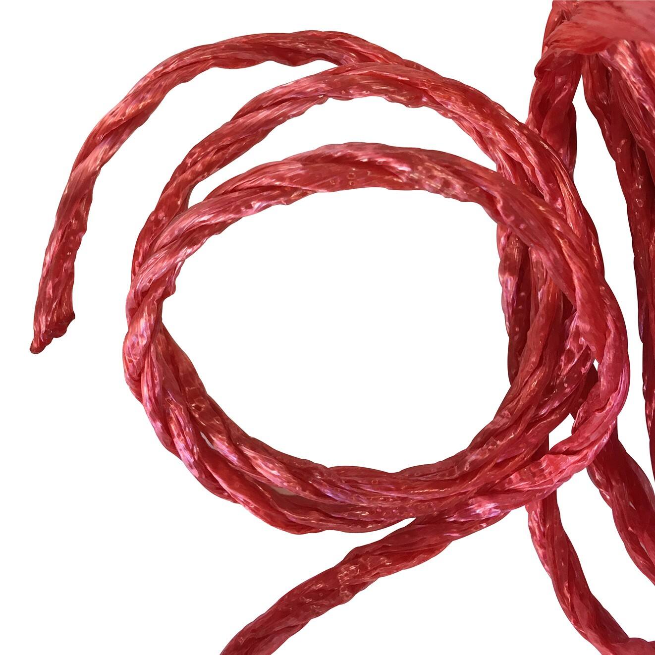 50ft. Red Piñata Rope