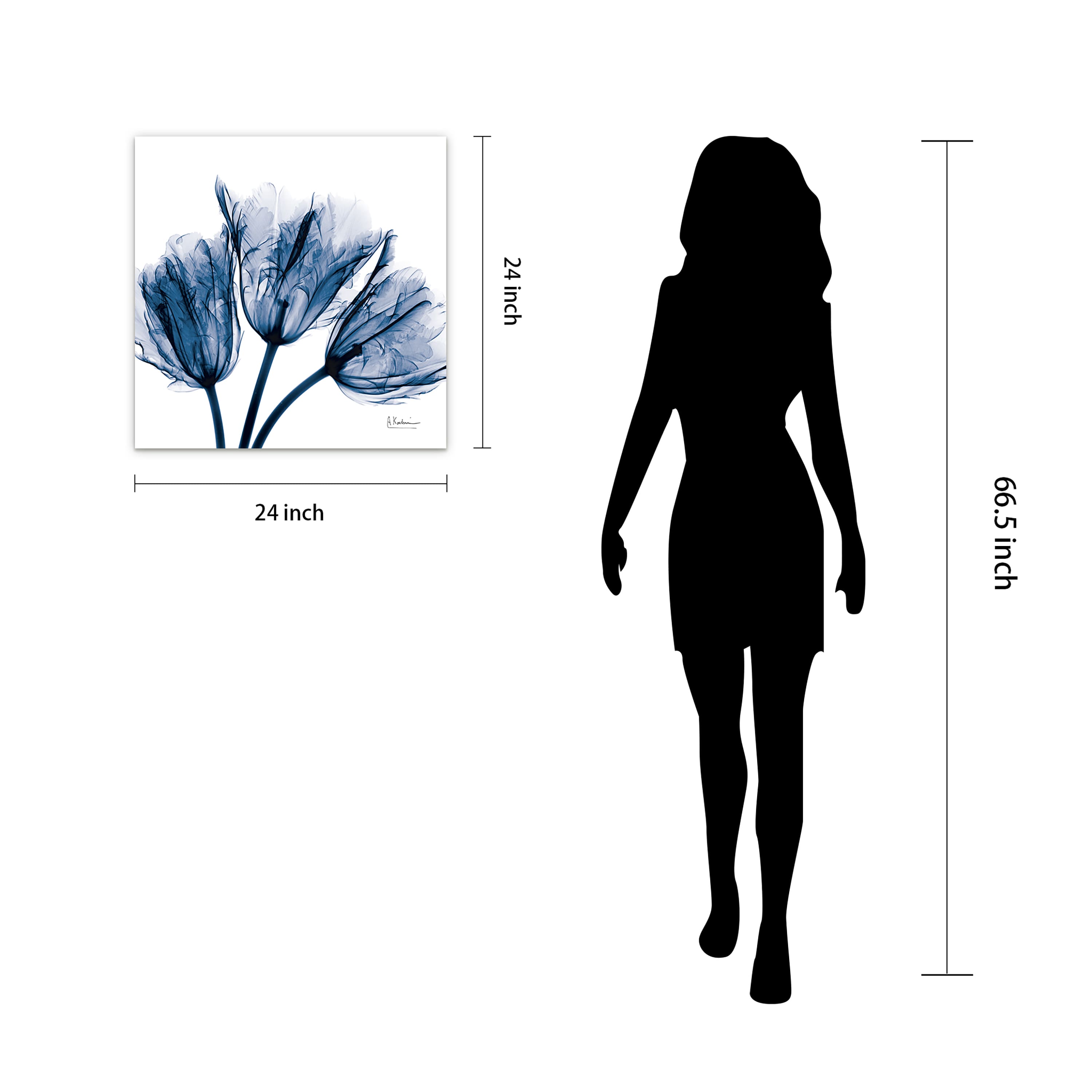 Empire Art Direct 24" x 24" Blue Tulip X-Ray Frameless Free Floating Printed Tempered Glass Wall Art
