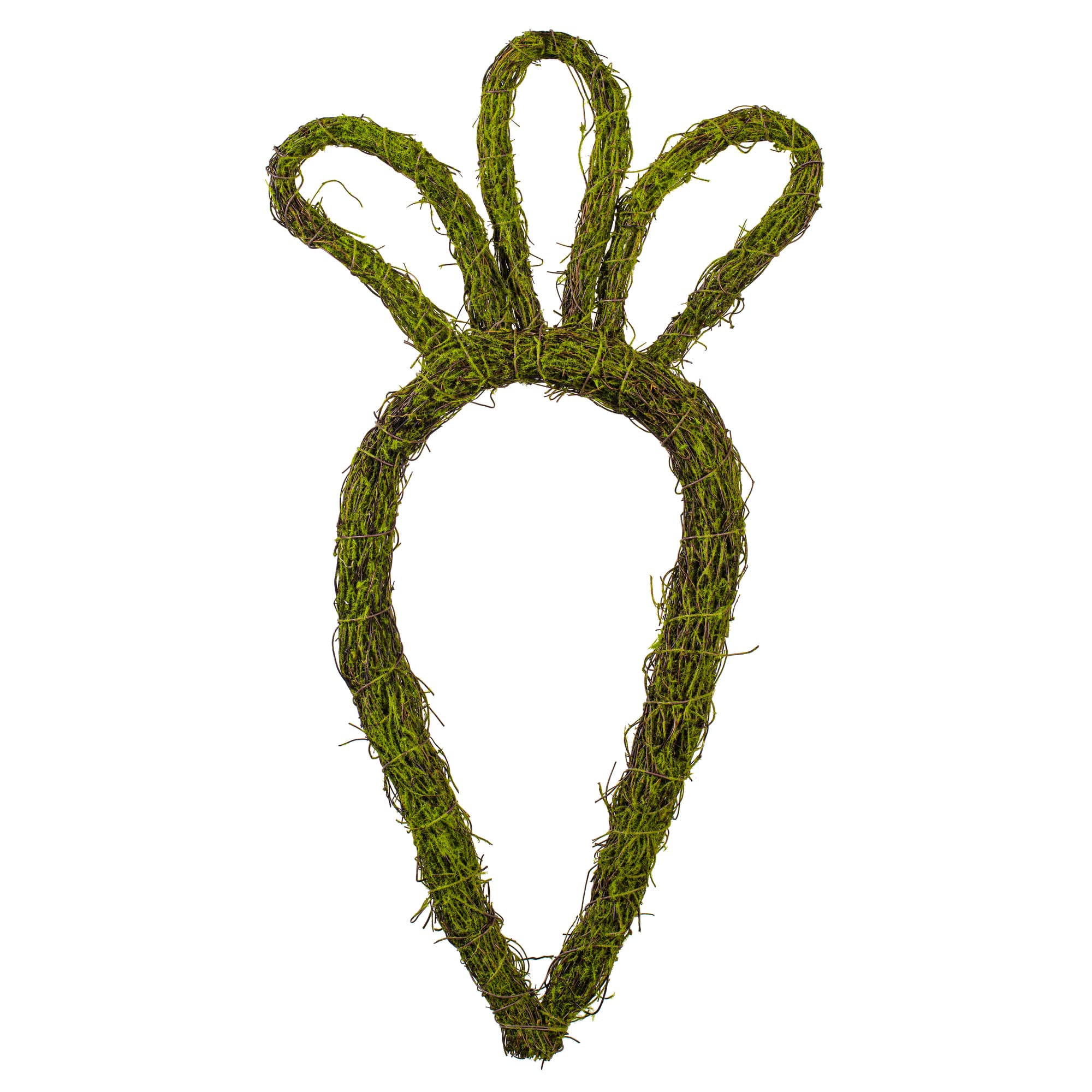 Vickerman 23" x 12" Carrot Outline Wreath