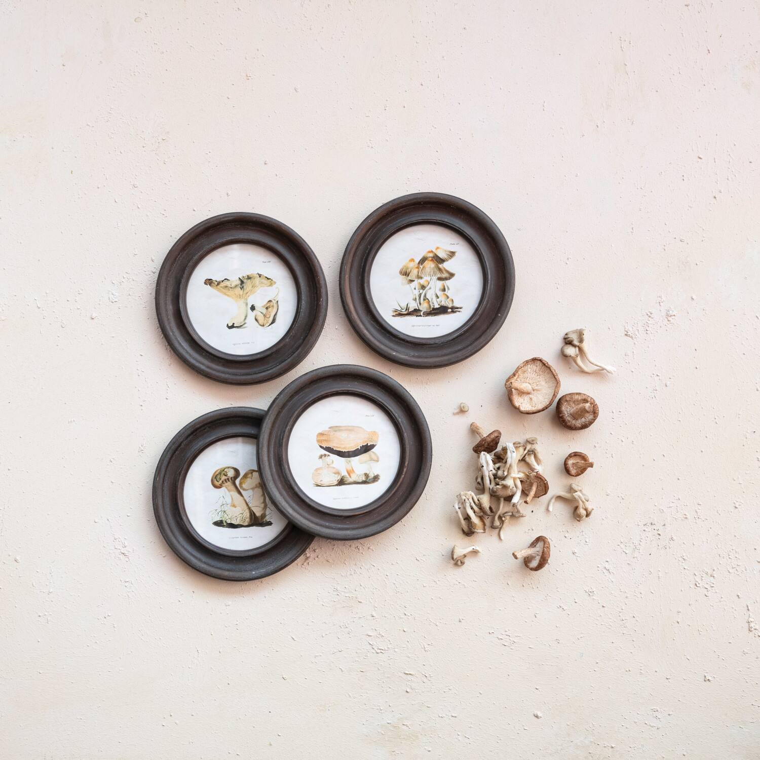 Hello Honey® 9.5" Round Framed Mushroom Print Wall Art Set