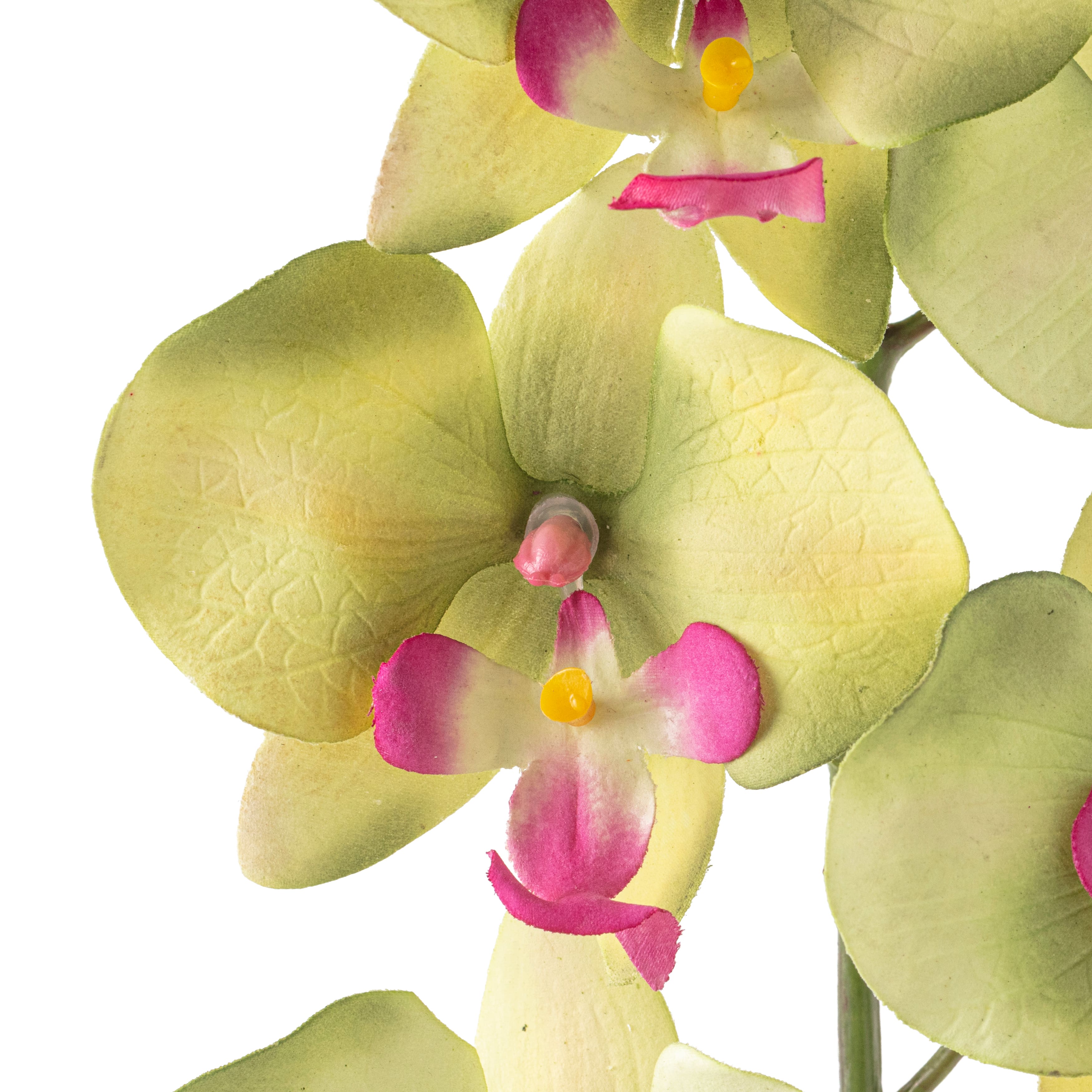 12 Pack: Green & Pink Orchid Spray by Ashland®