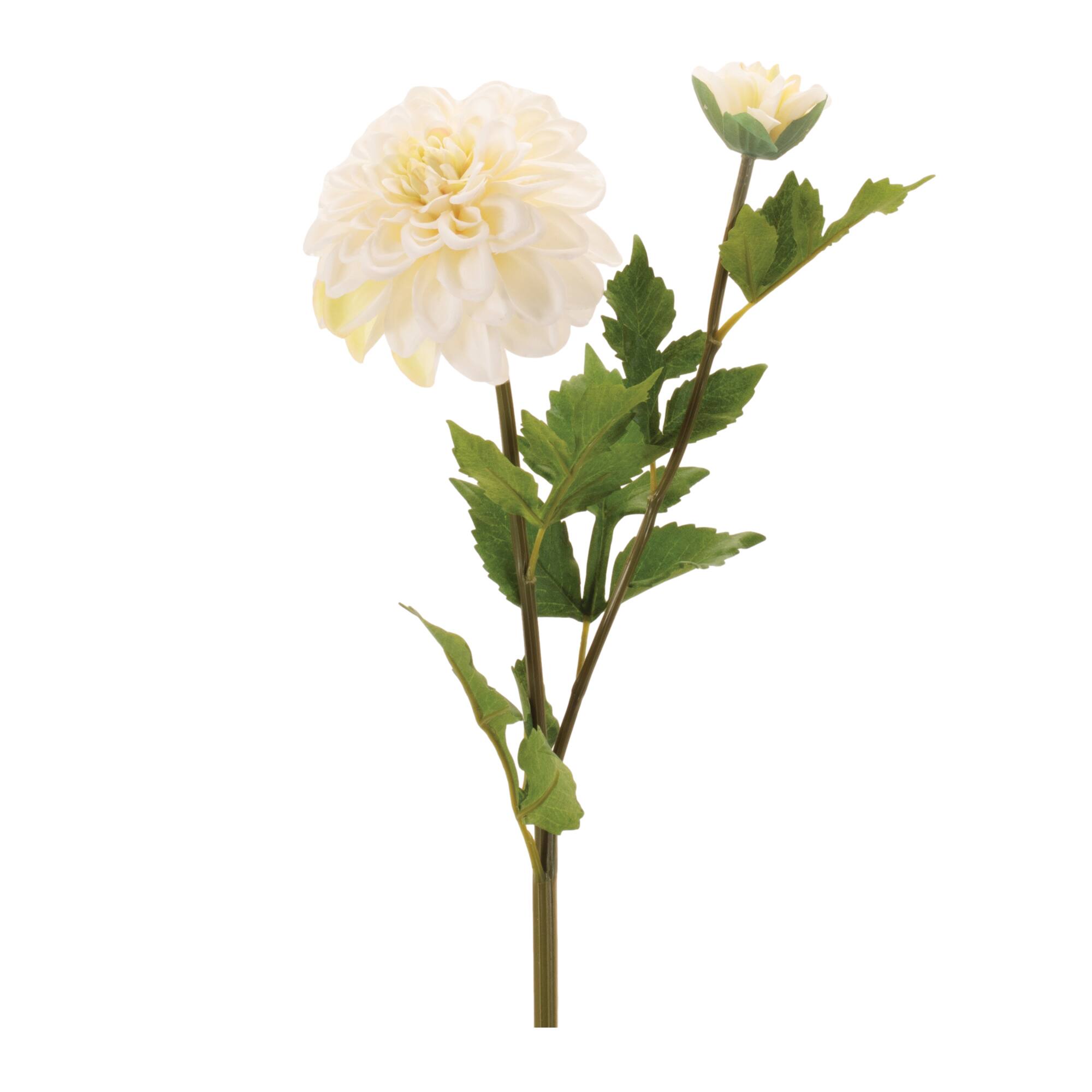 25.75" Dahlia Flower Stems, 6ct.