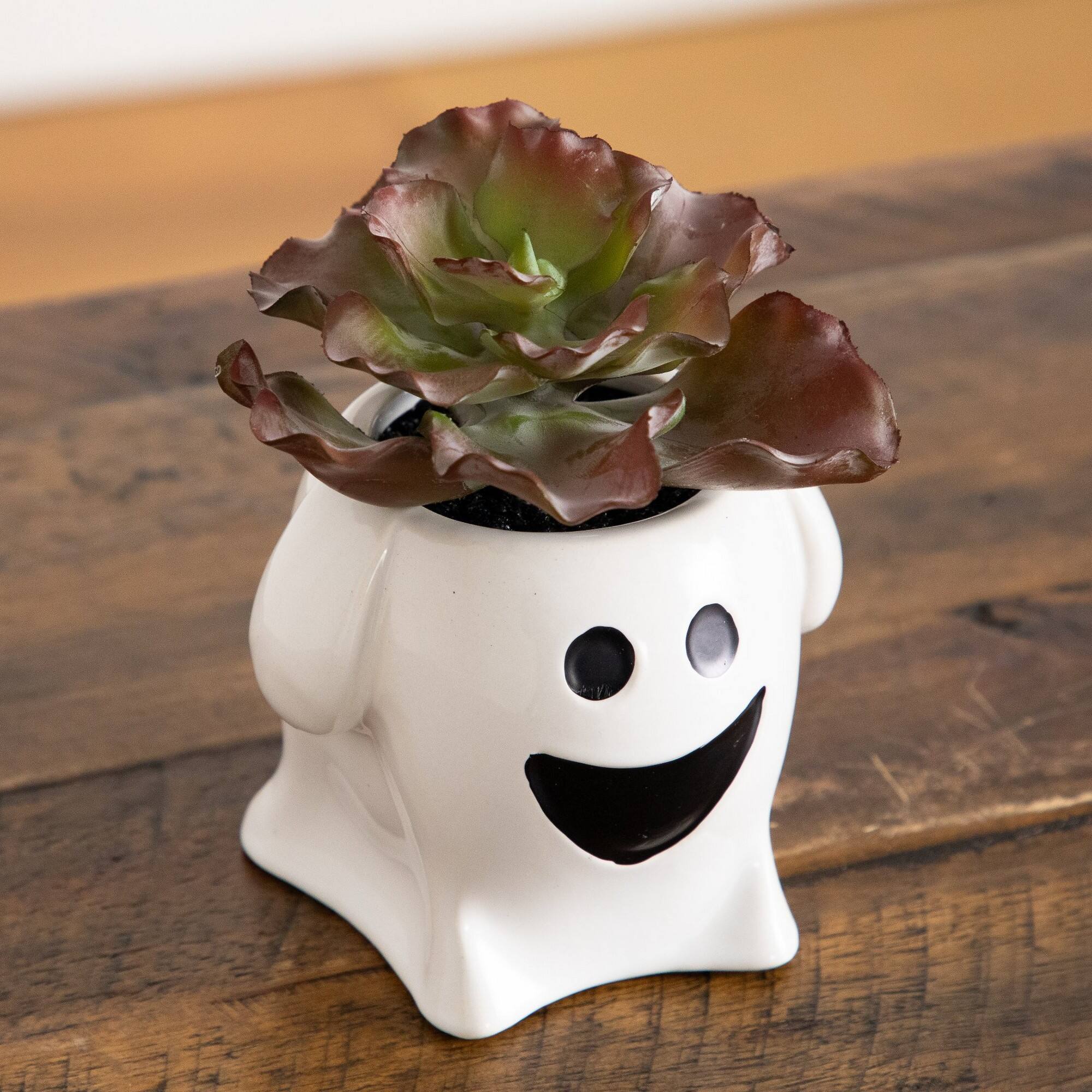 5" Artificial Halloween Succulent Garden in Happy Ghost Planters Set