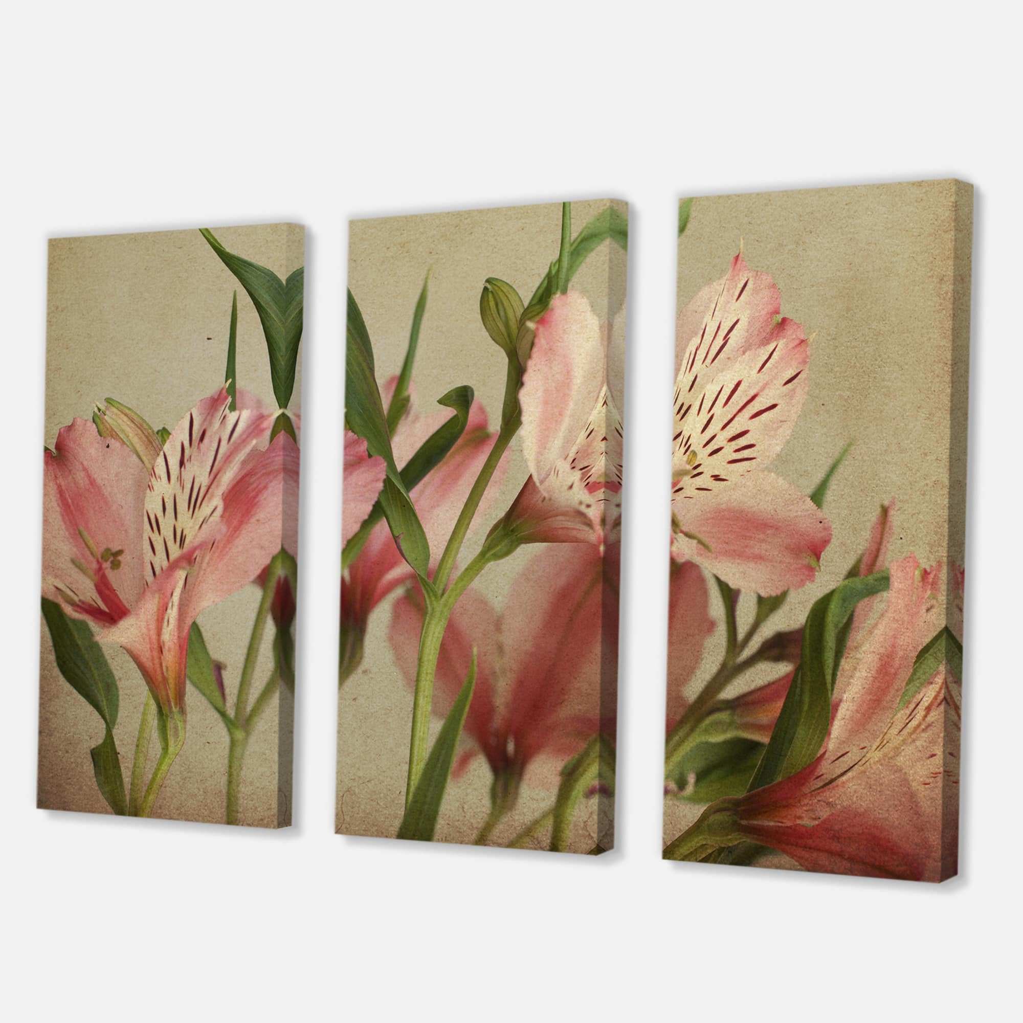 Designart - Retro Alstroemeria Flower - Traditional Canvas Wall Art Print