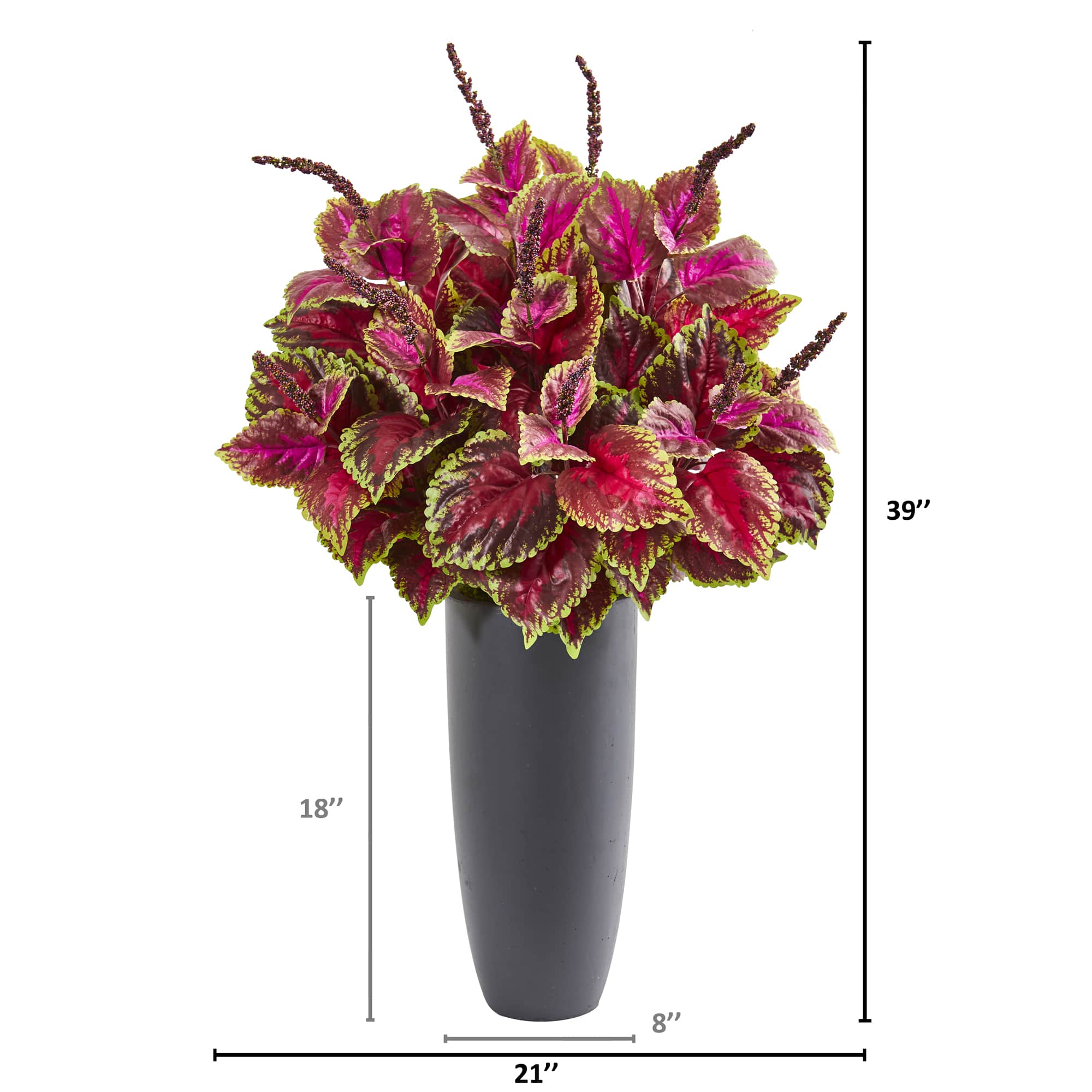 3.5ft. Coleus Plant in Gray Planter