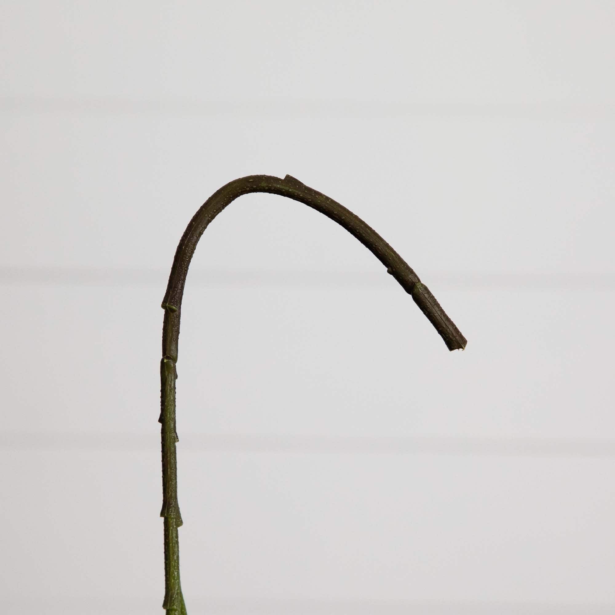 20" Pink Hydrangea Flower Stems, 3ct.