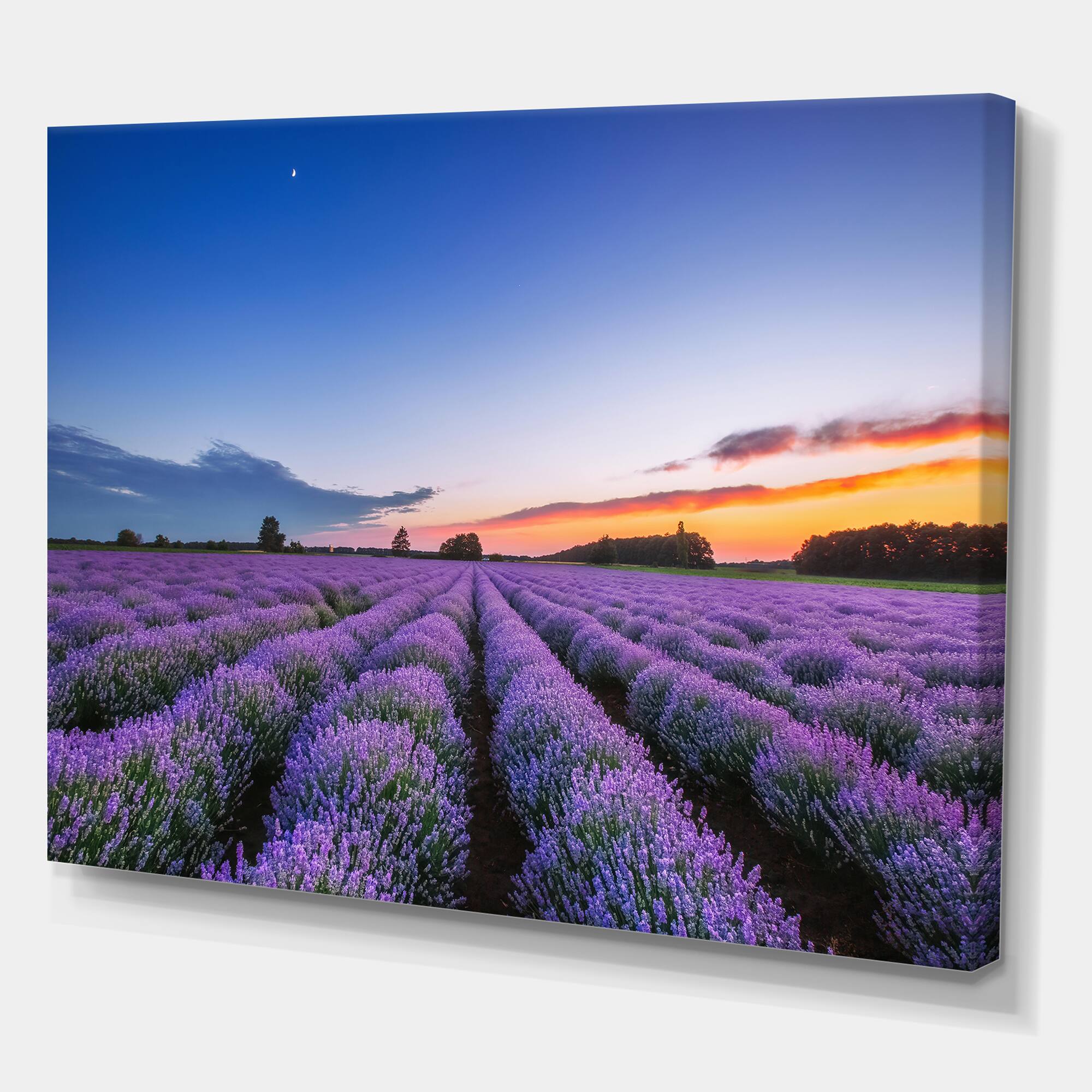 Designart - Sunrise & Dramatic Clouds Over Lavender Field I - Farmhouse Canvas Wall Art Print