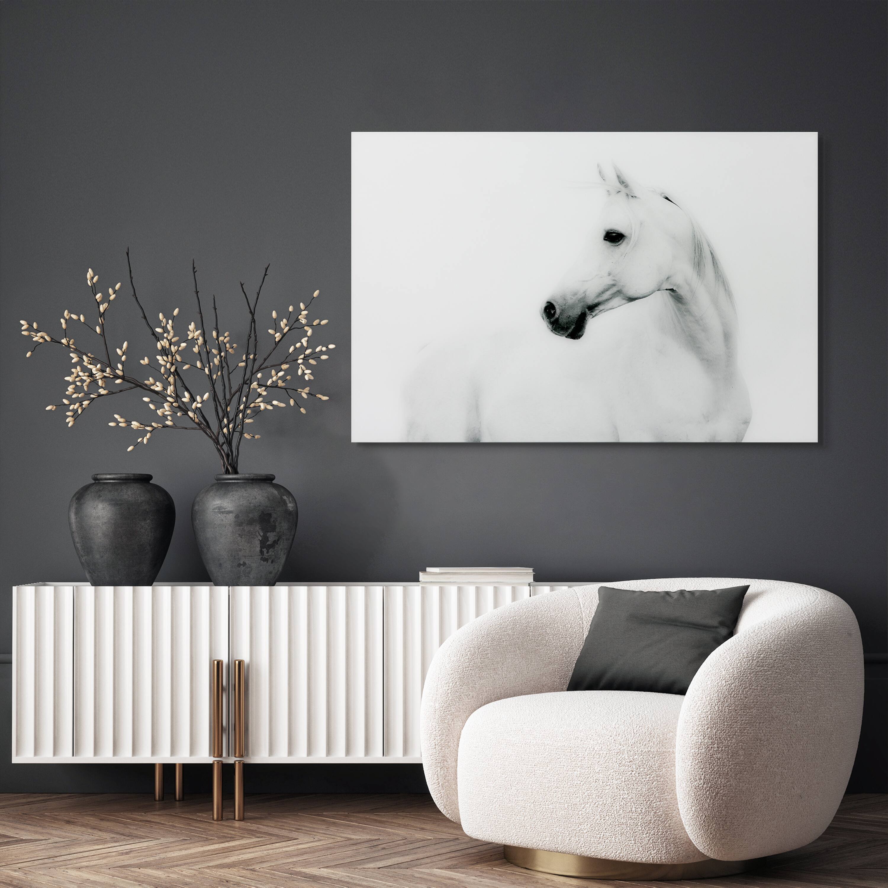 Empire Art Direct 48" x 32" Blanco Stallion Horse Frameless Printed Tempered Glass Wall Art