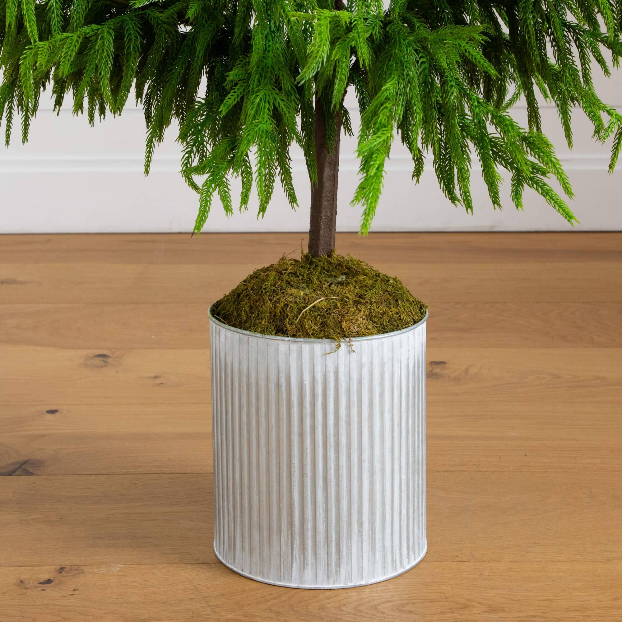 5ft. Unlit Real Touch Norfolk Island Pine Artificial Christmas Tree in Metal Planter