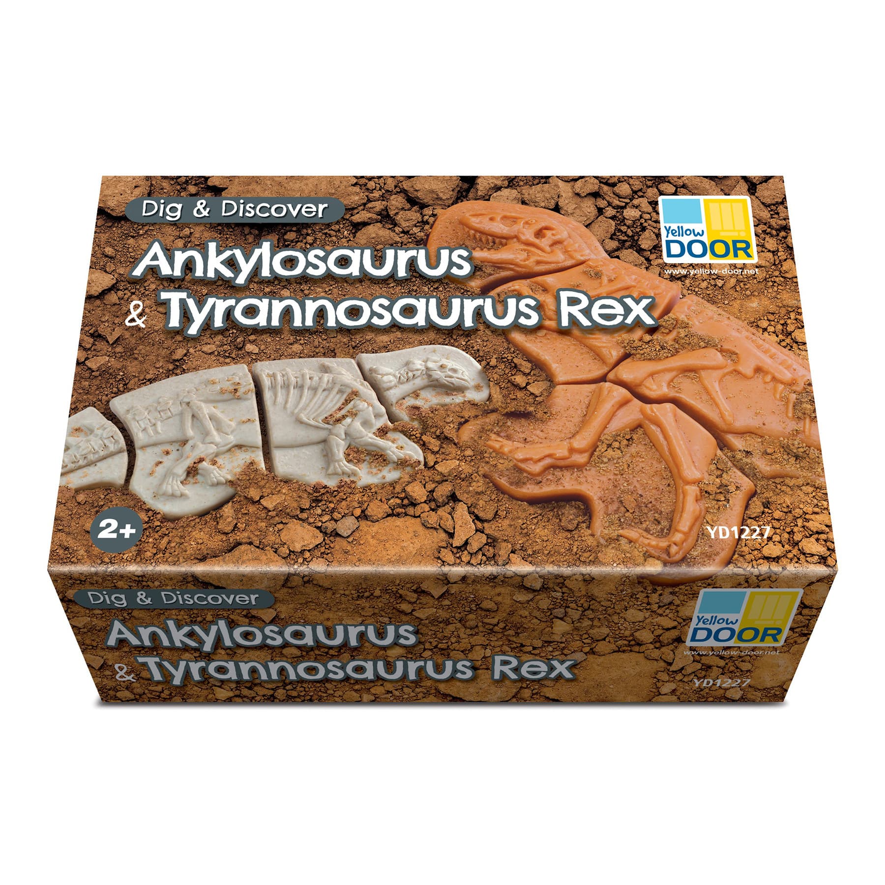 Yellow Door Dig & Discover Dinosaur Skeletons Set