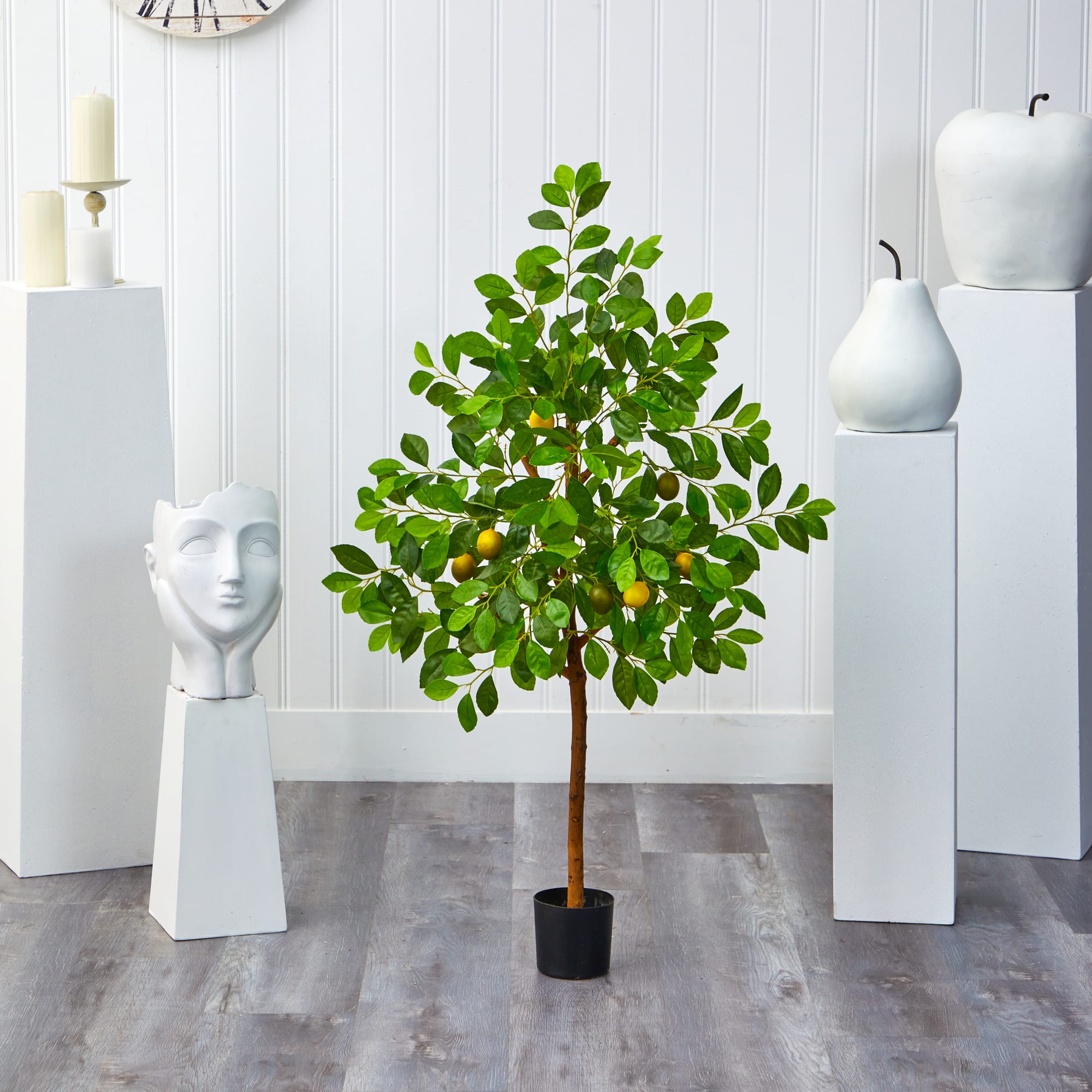 4ft. Potted Lemon Tree