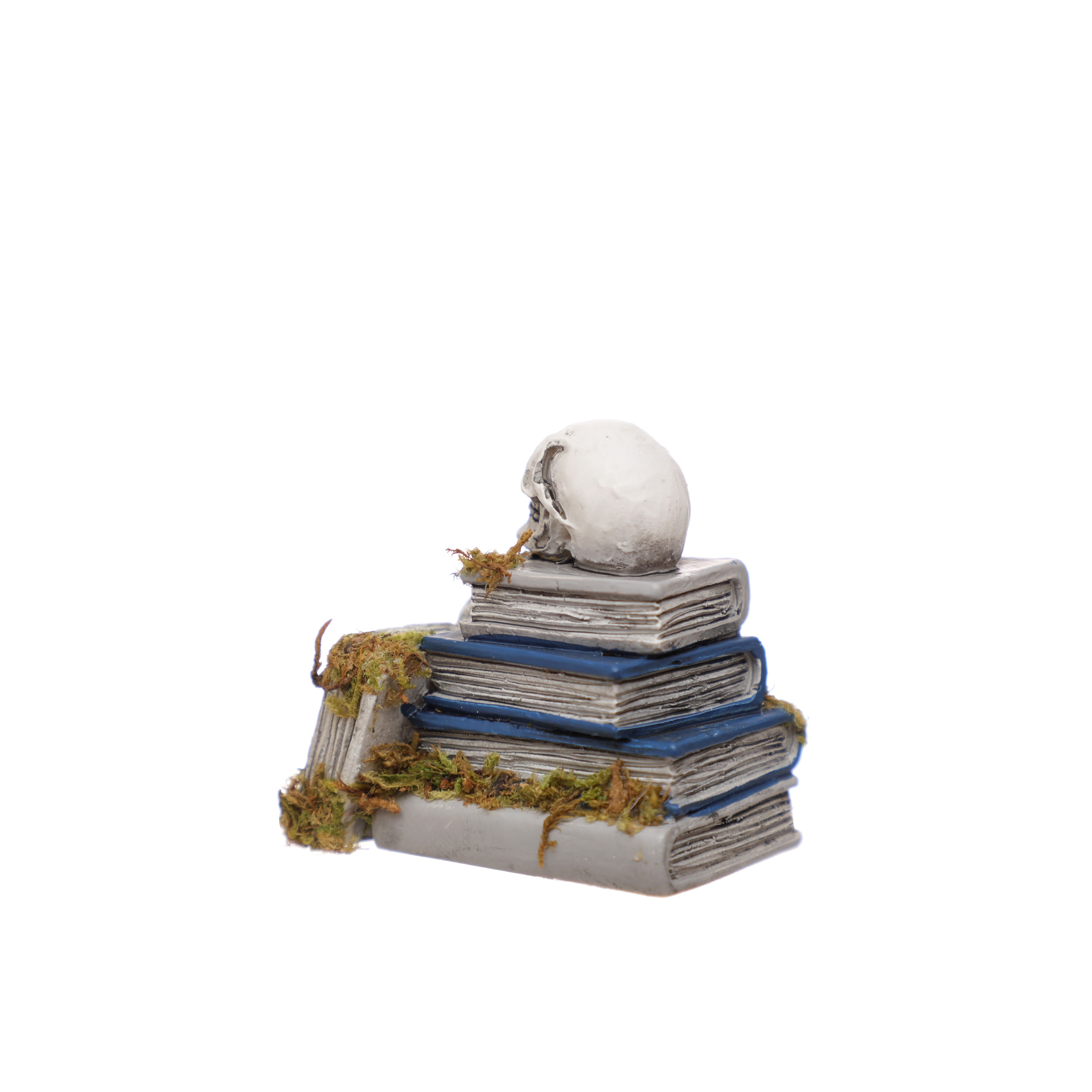 Mini Skull on Book by Ashland®
