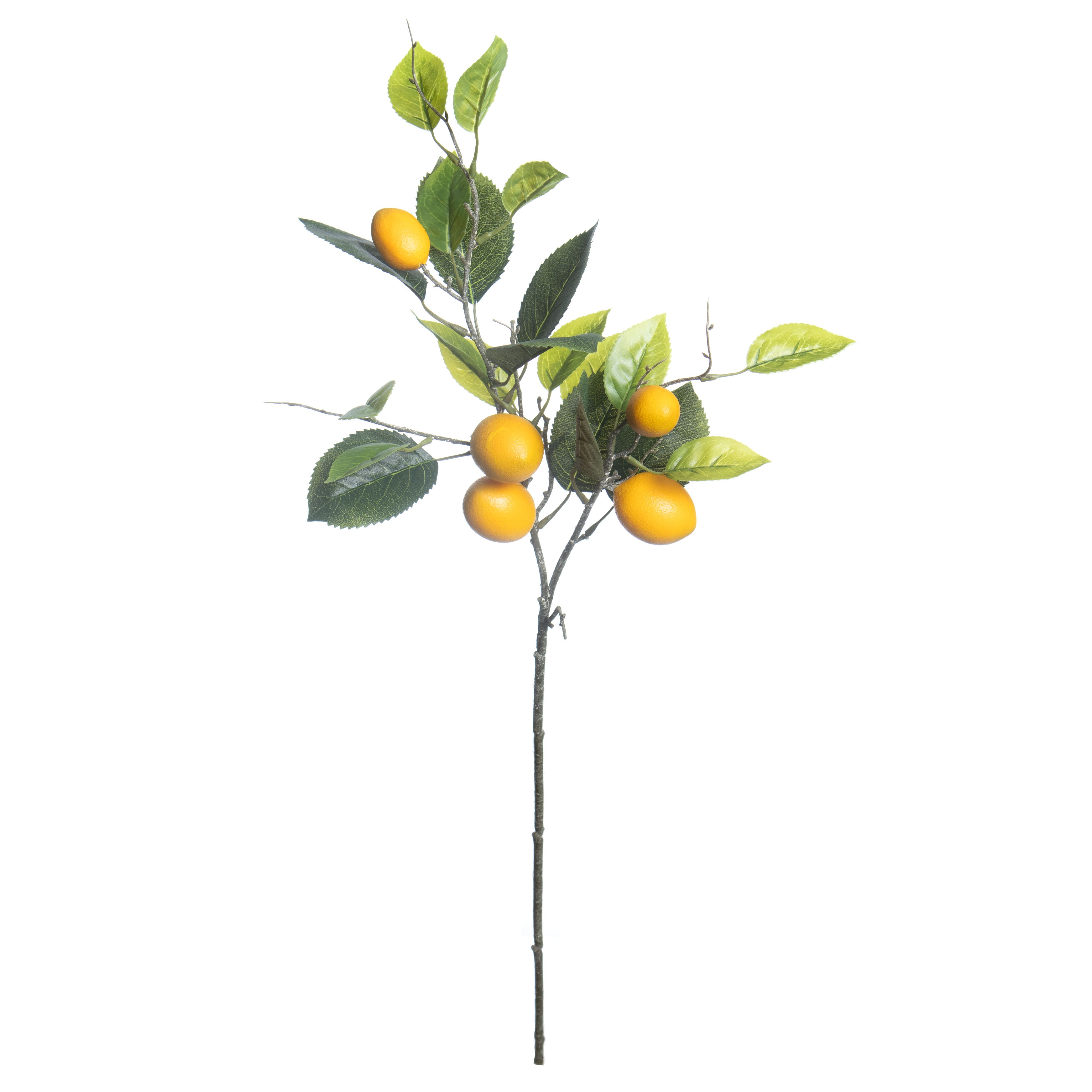 6 Pack: 31" Lemon Branch by Ashland®