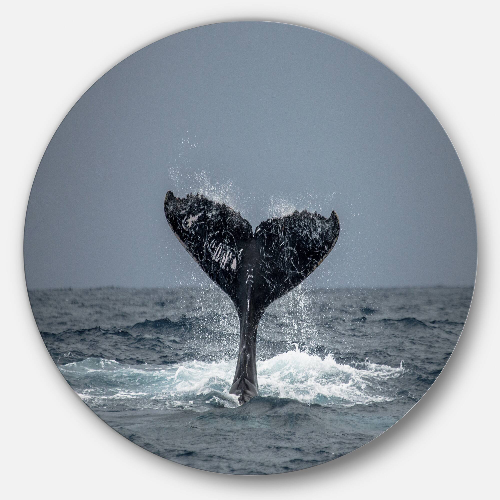 Designart - Large Humpback Whale Tail' Disc Oversized Animal Wall Art