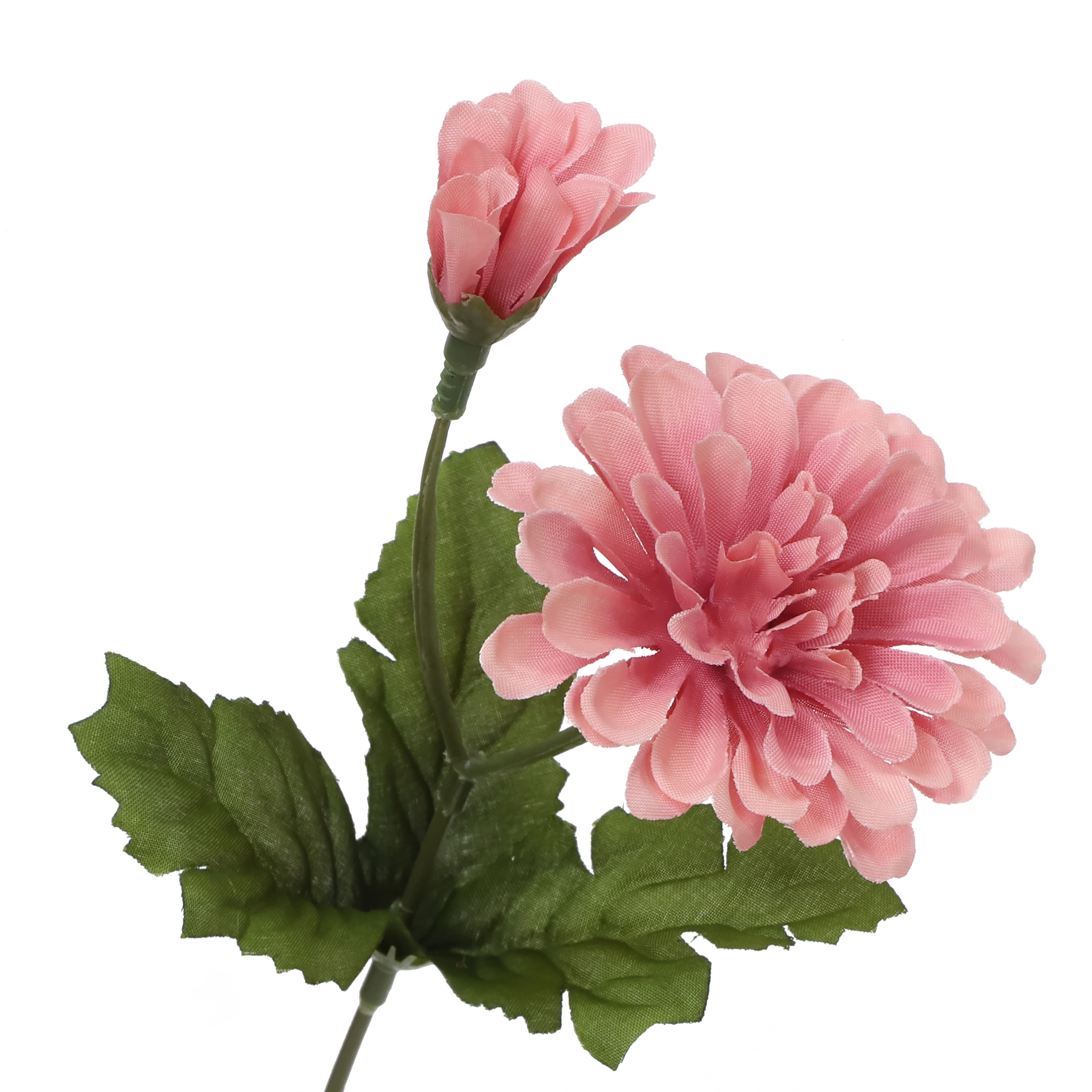 14" Pink Zinnia Bush from Ashland®