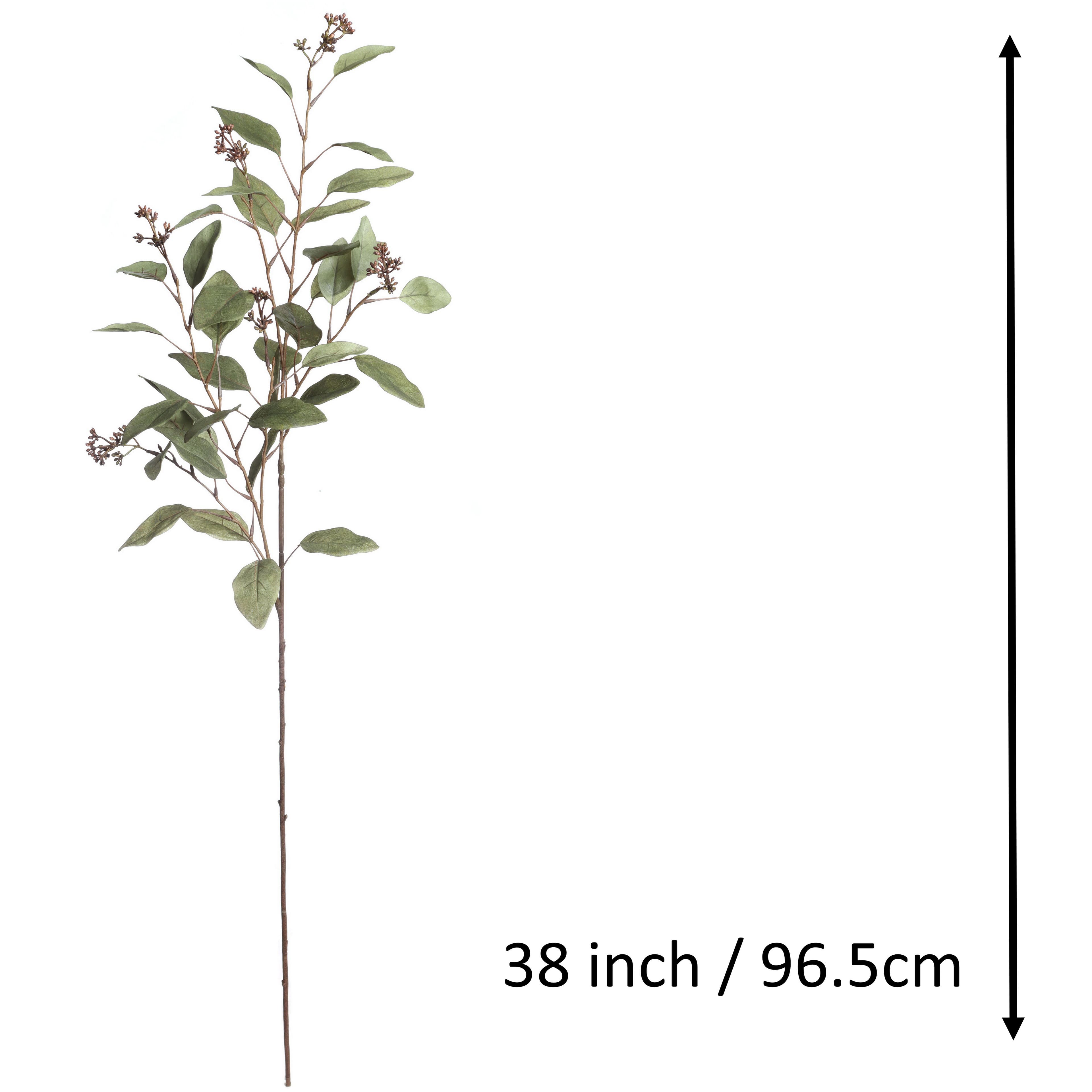 46" Green Eucalyptus Stem by Ashland®