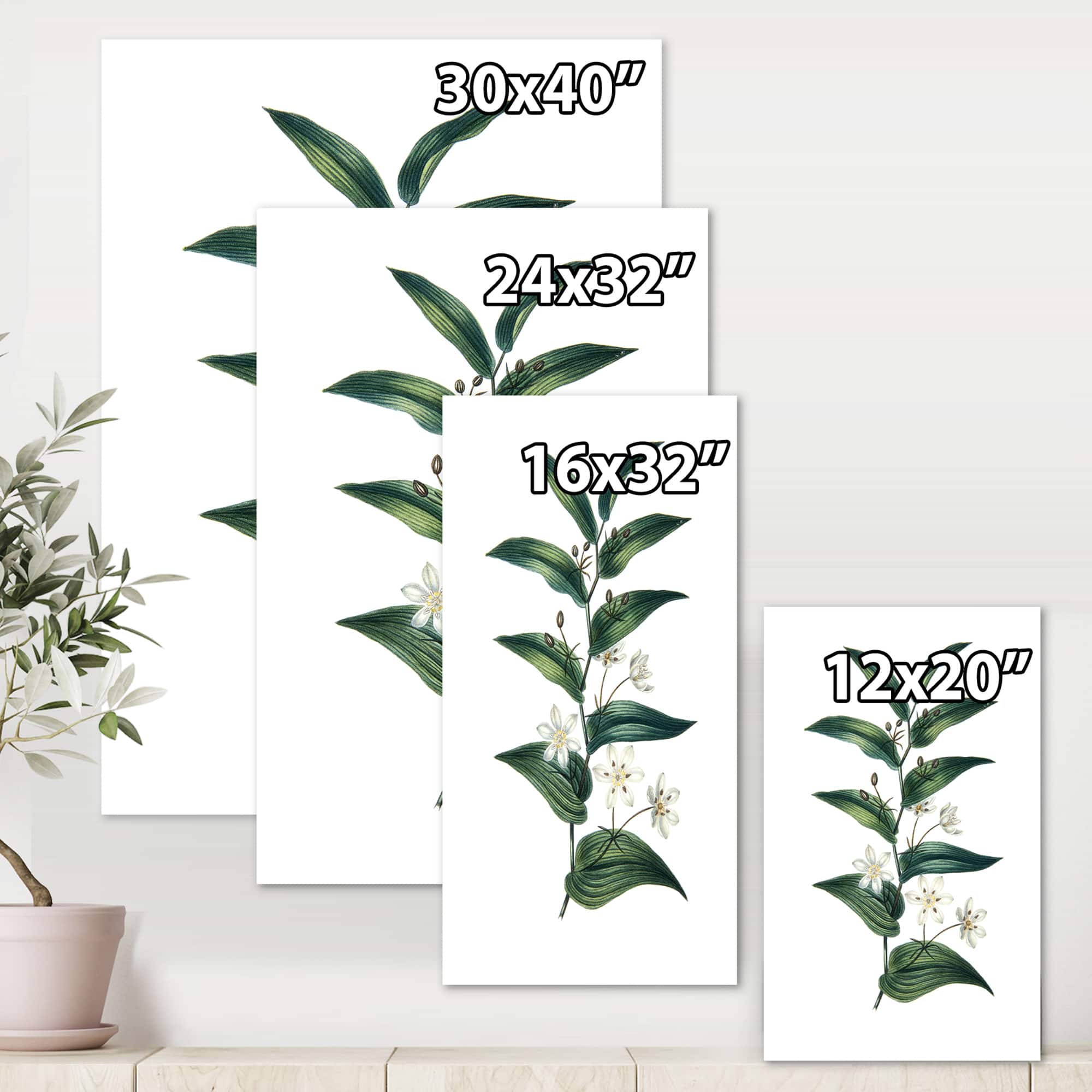 Designart - Vintage Plant With Little White Flowers - Farmhouse Canvas Wall Art Print
