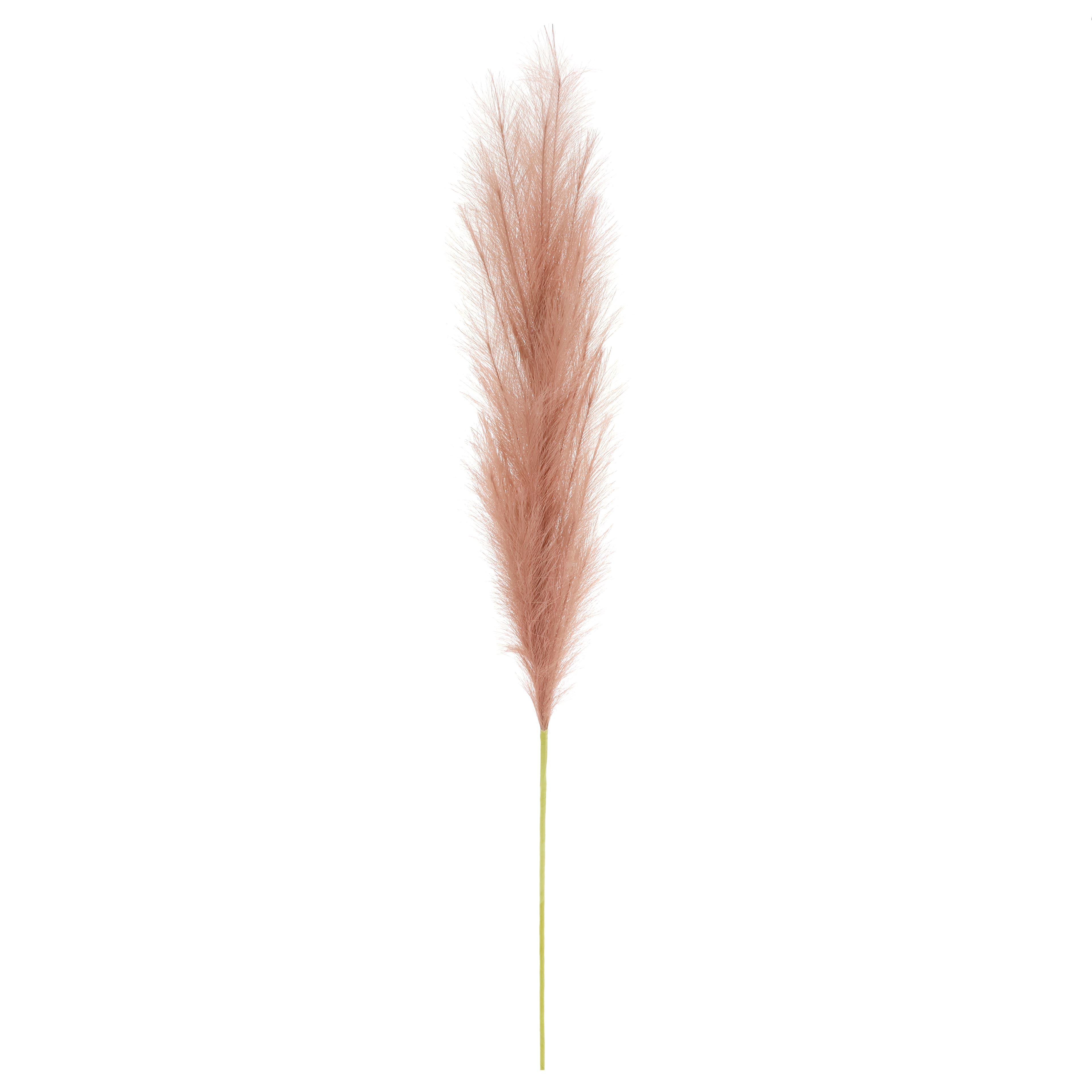 60" Pampas Grass Stem by Ashland